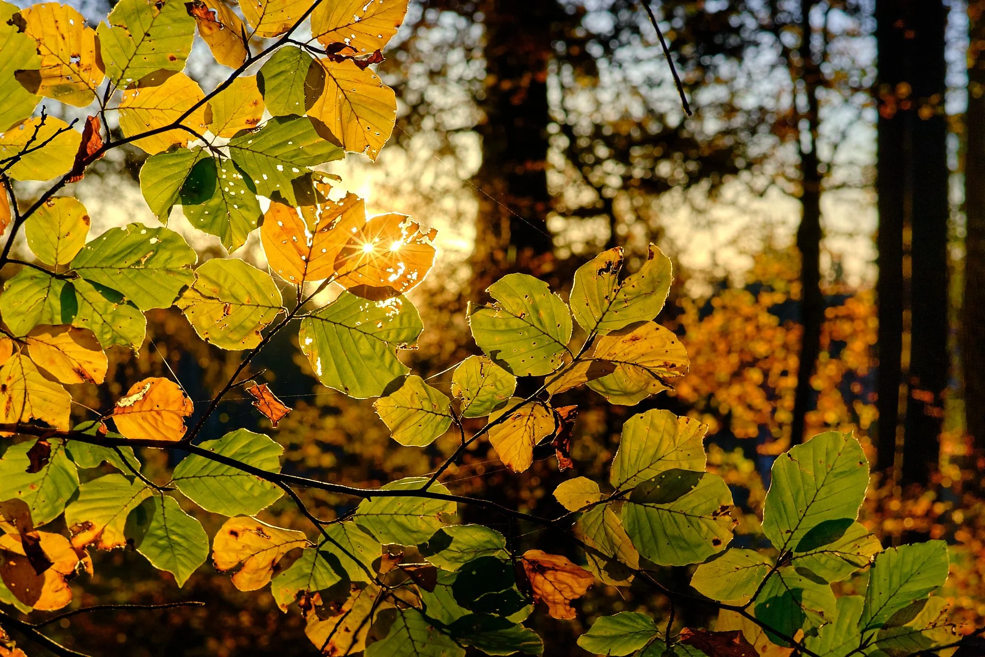 DSCF1086_1920.jpg