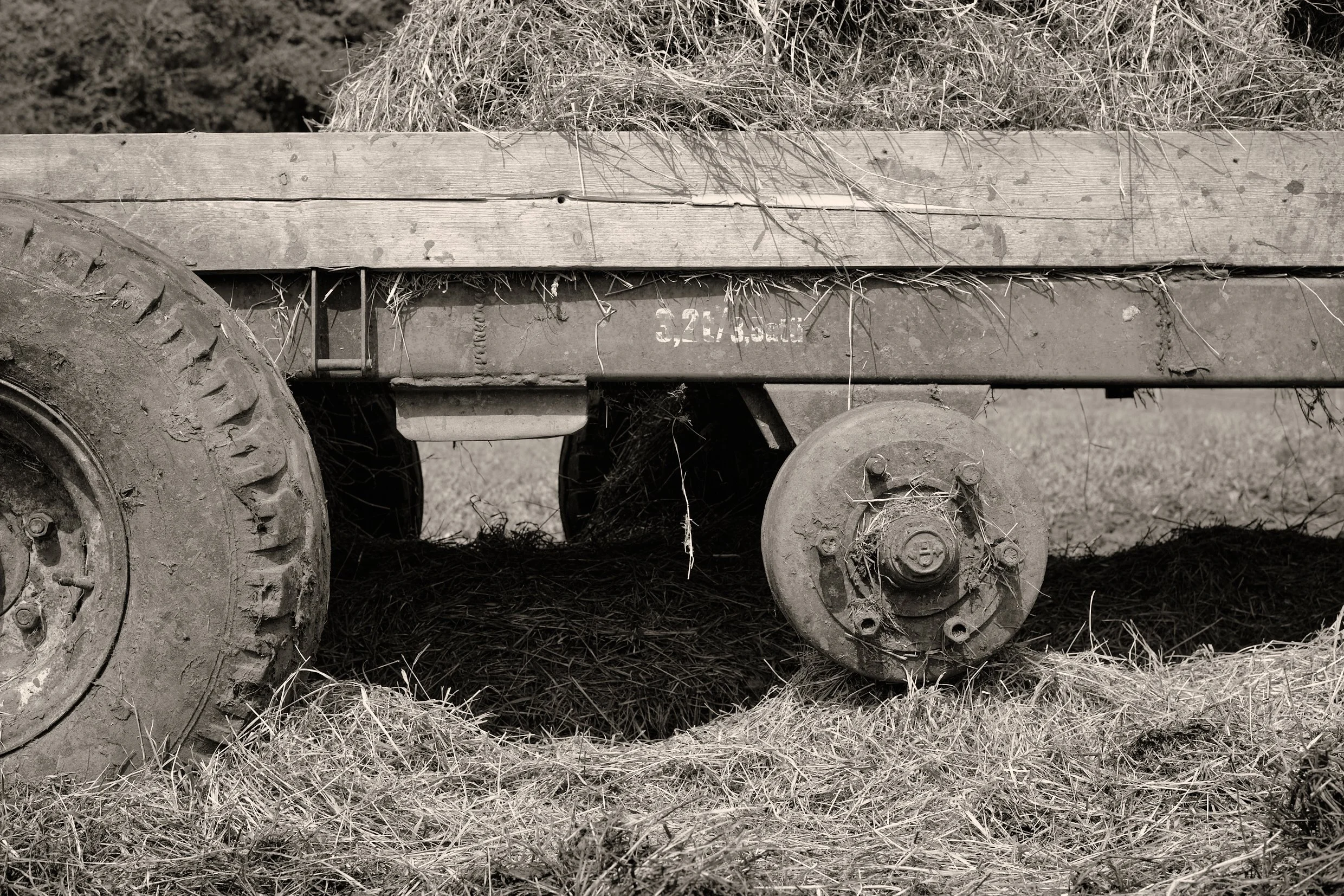 DSCF9080.jpg