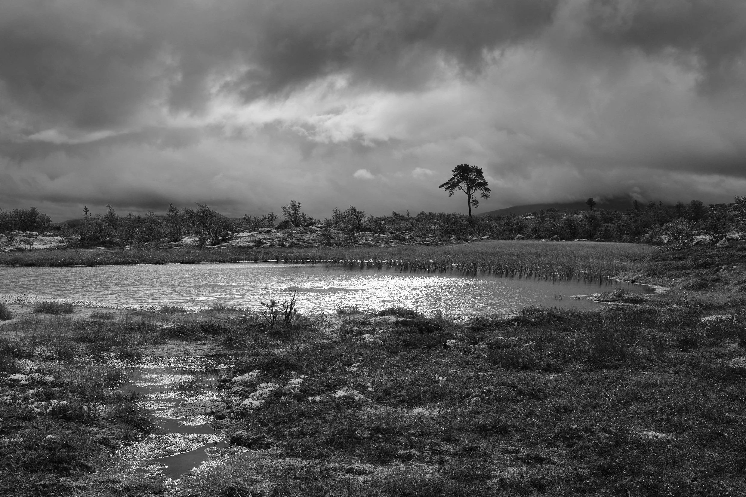 DSCF8390.jpg