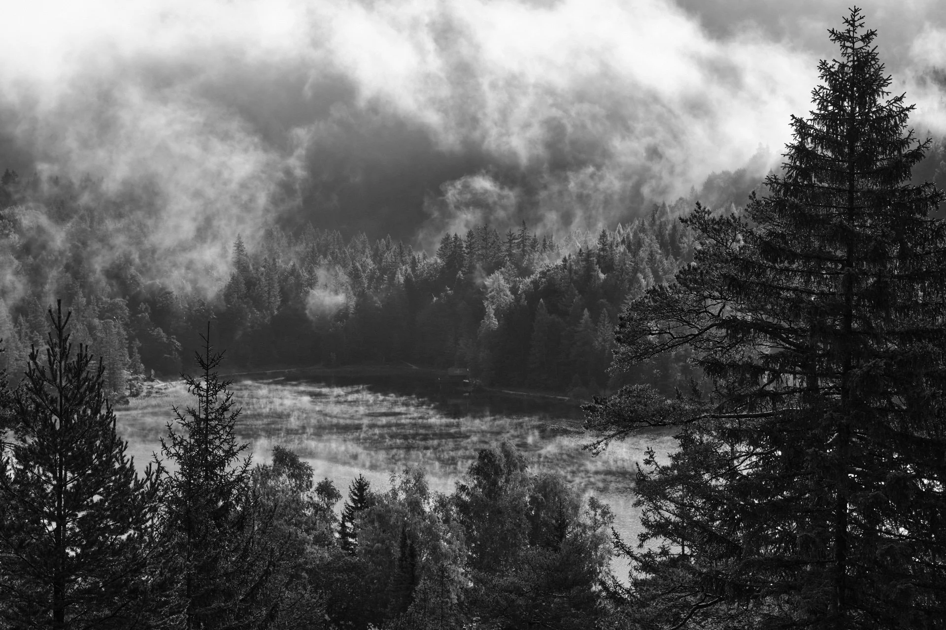 DSCF0073_1920.jpg