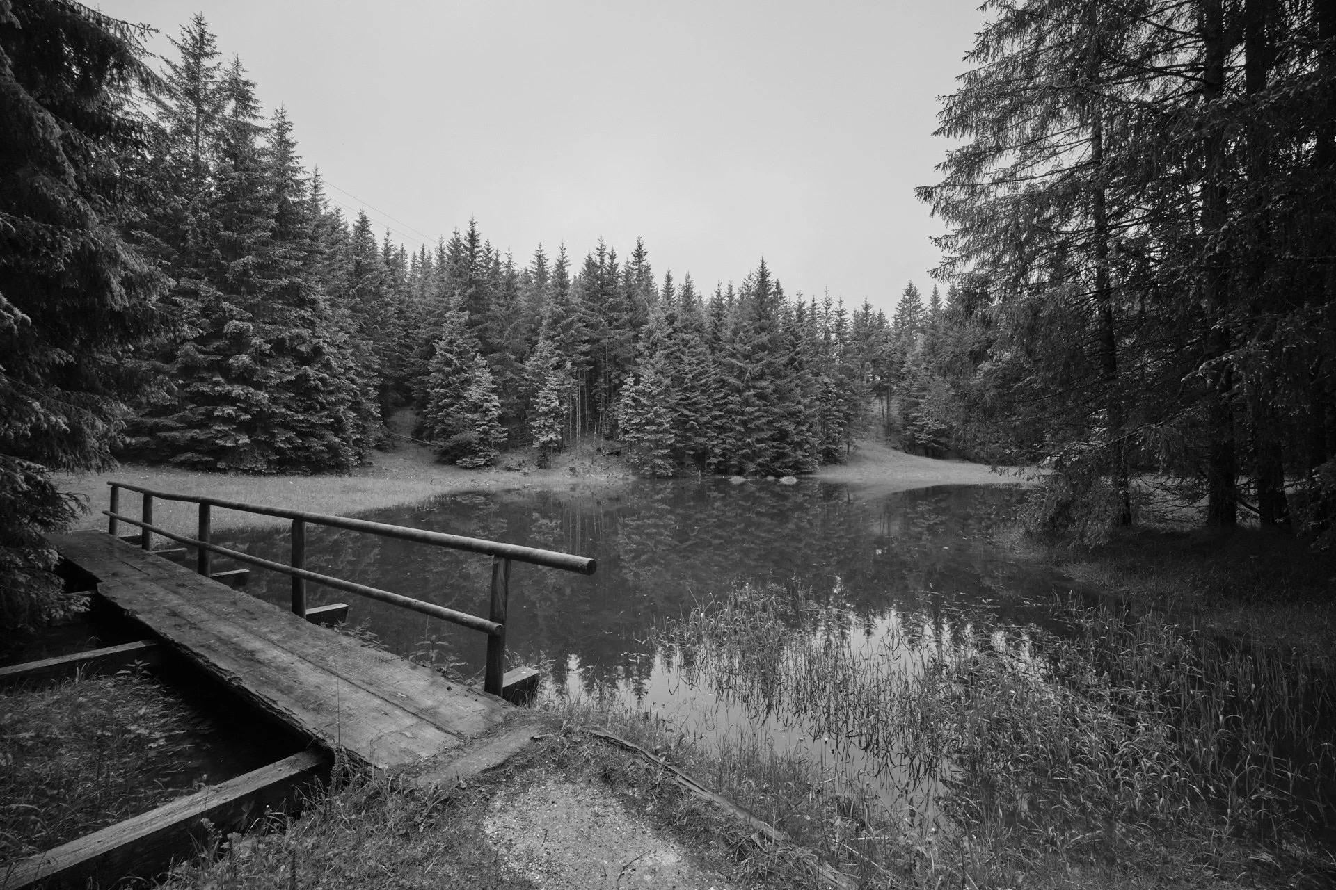eDSCF6030_1920.jpg