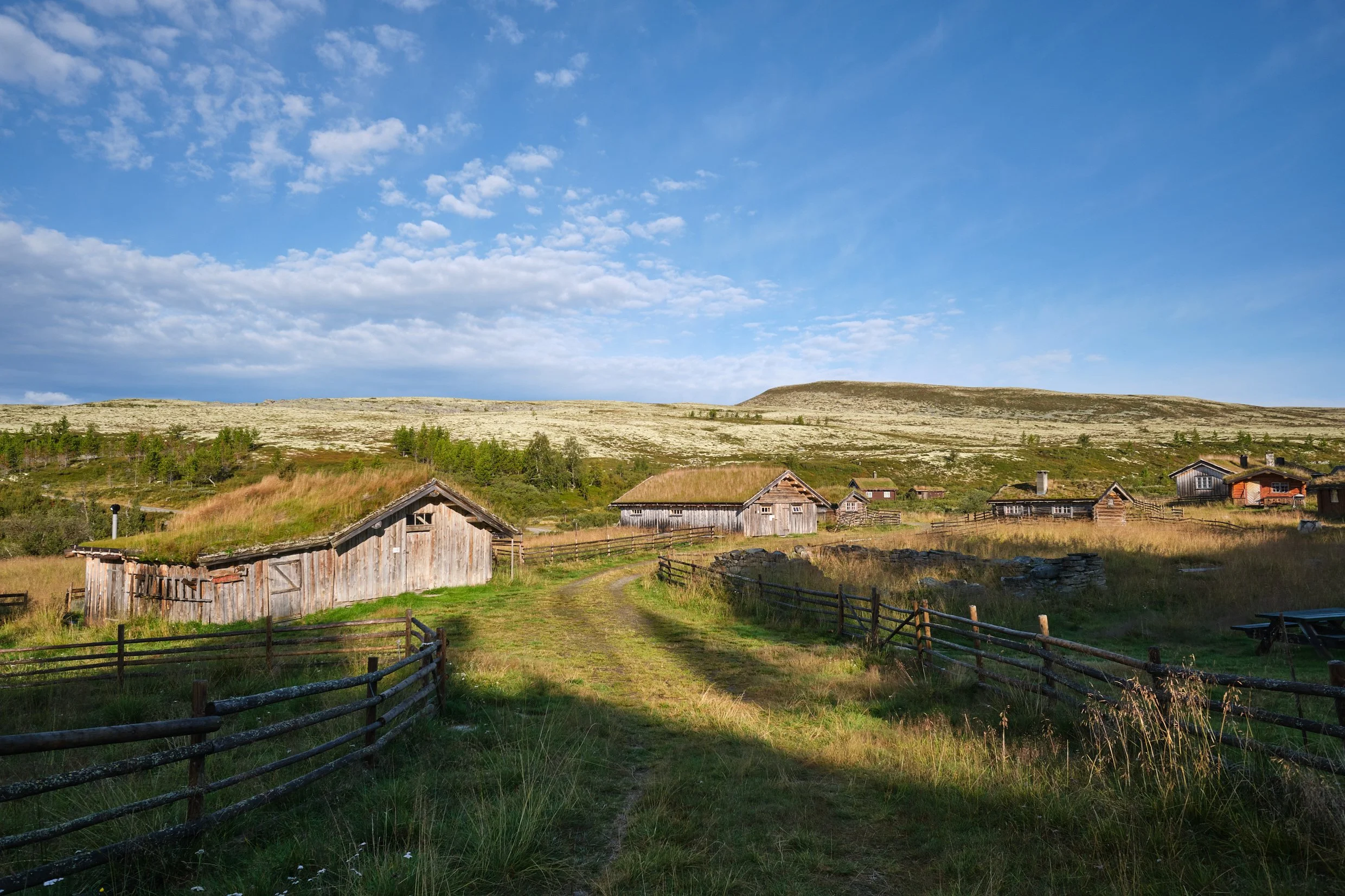 DSCF8444.jpg