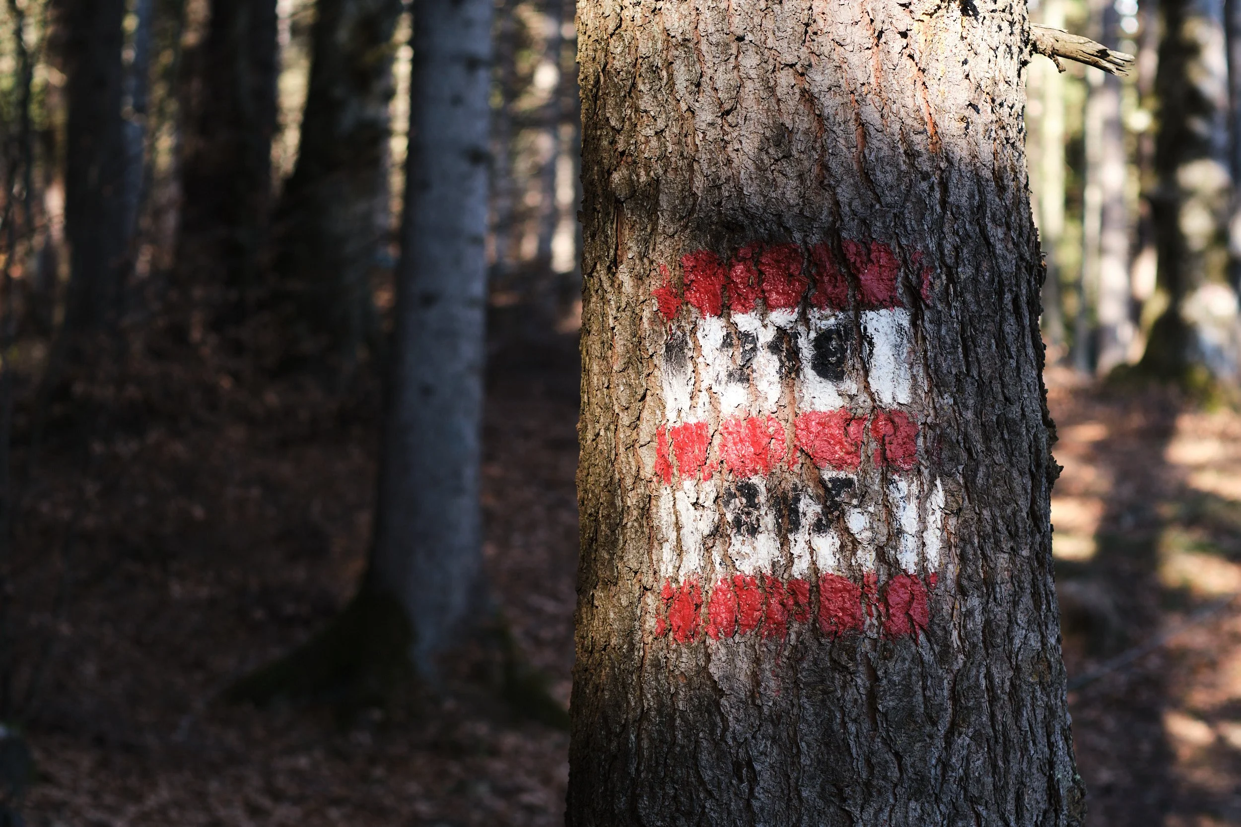 unterhalb Arzler Alm