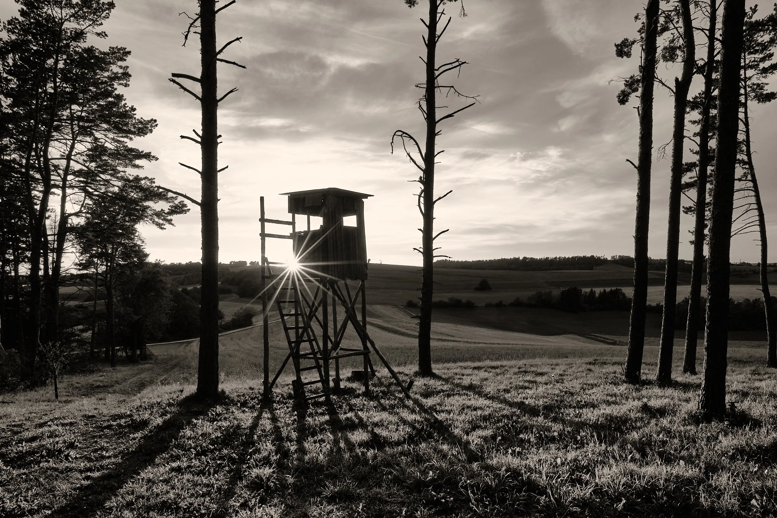 DSCF1887_1.jpg