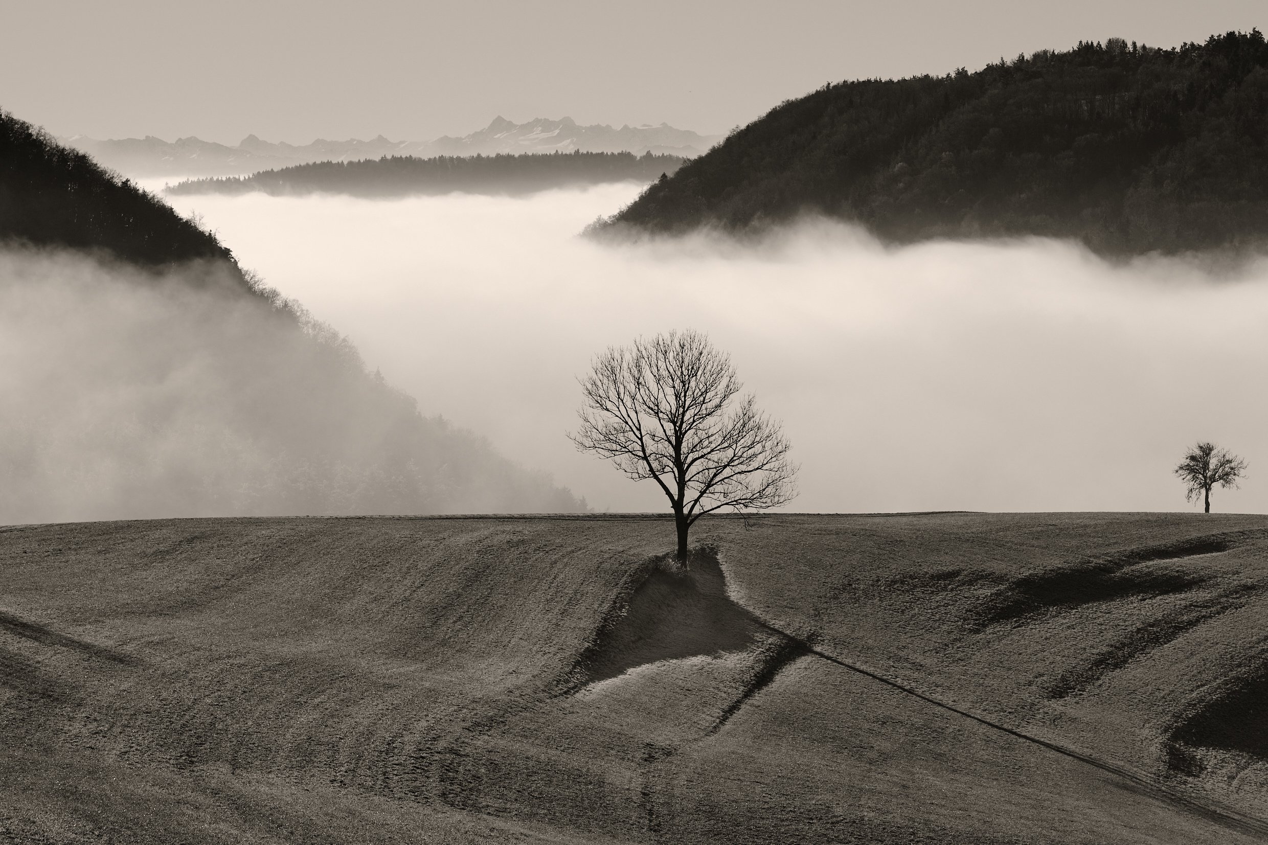 DSCF4855.jpg