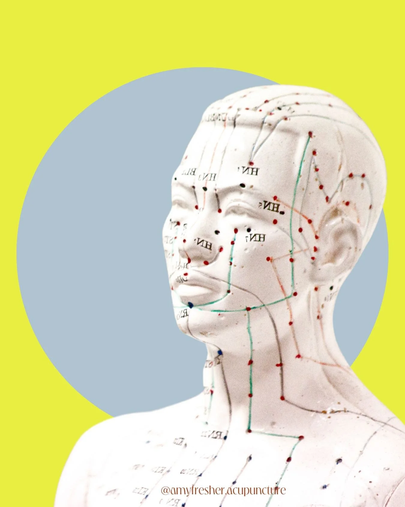 Acupuncture: How Does It Work?
Ancient wisdom, modern healing 🌿✨

➡️ Physically &ndash; Acupuncture stimulates nerves, muscles, and connective tissue, increasing blood flow and reducing inflammation. This means pain relief and faster healing 💆&zwj;