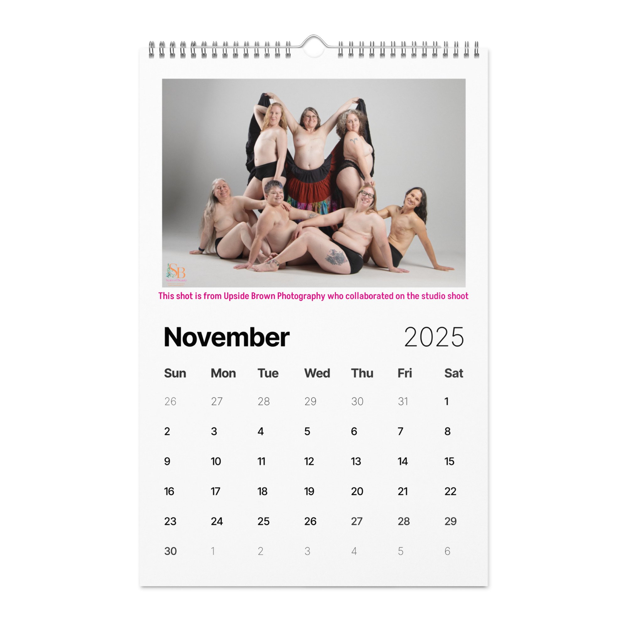 wall-calendar-(2025)-start-w-sun-11x17-front-674dc707cbfd7.jpg