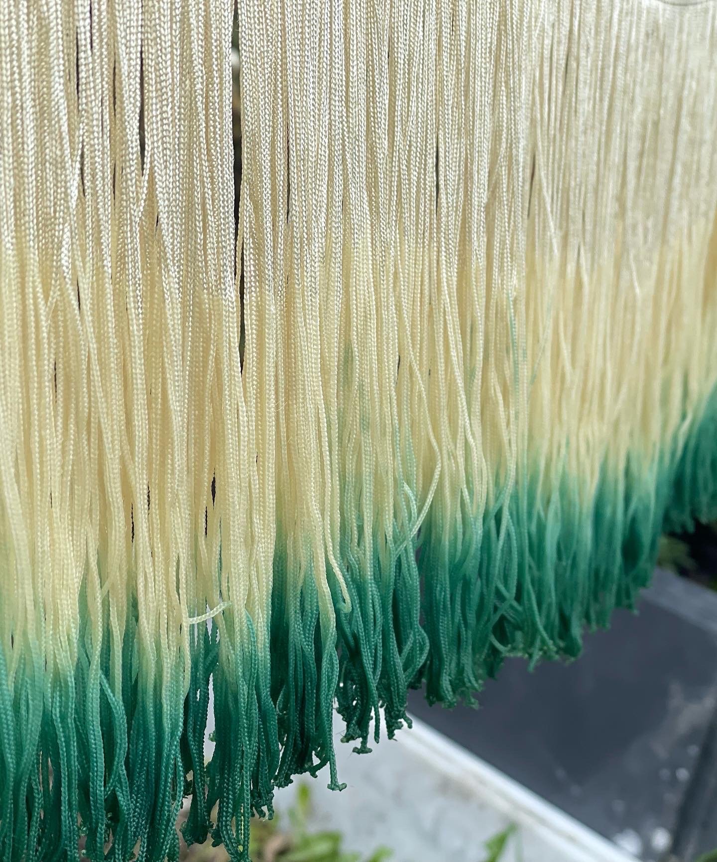Dying fringe
