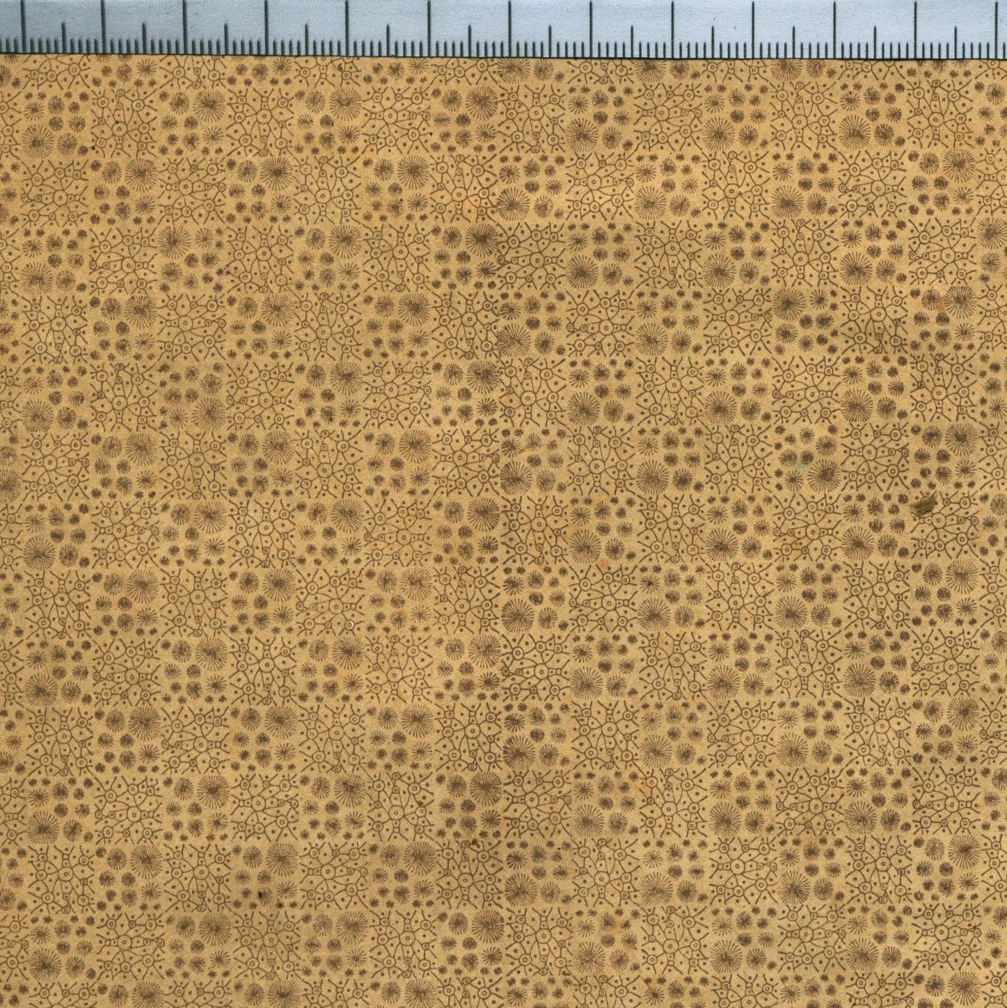 'Typefounders', combination borders. (Allen, Figure 74 ) brown