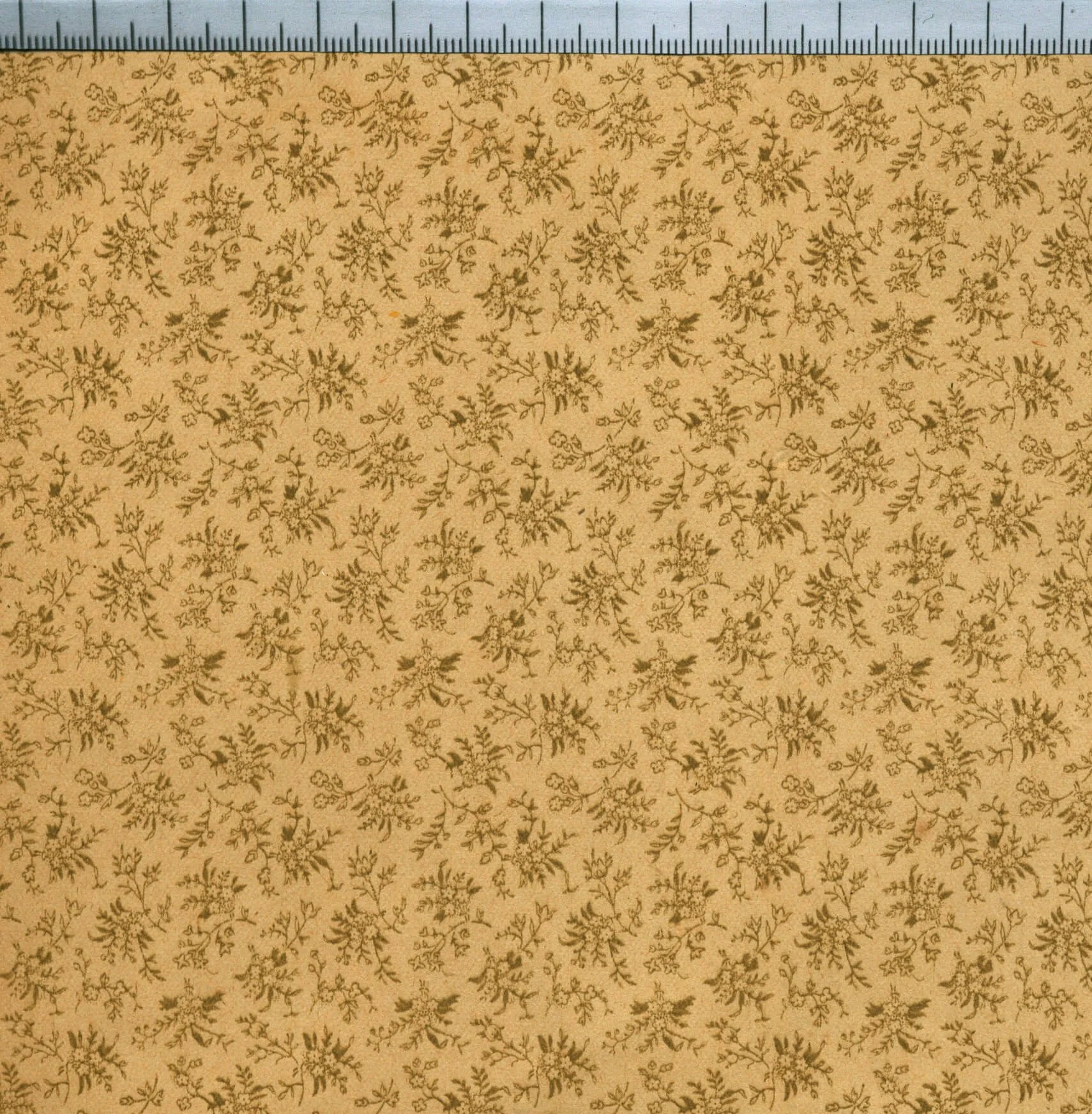 SA 15 Brown