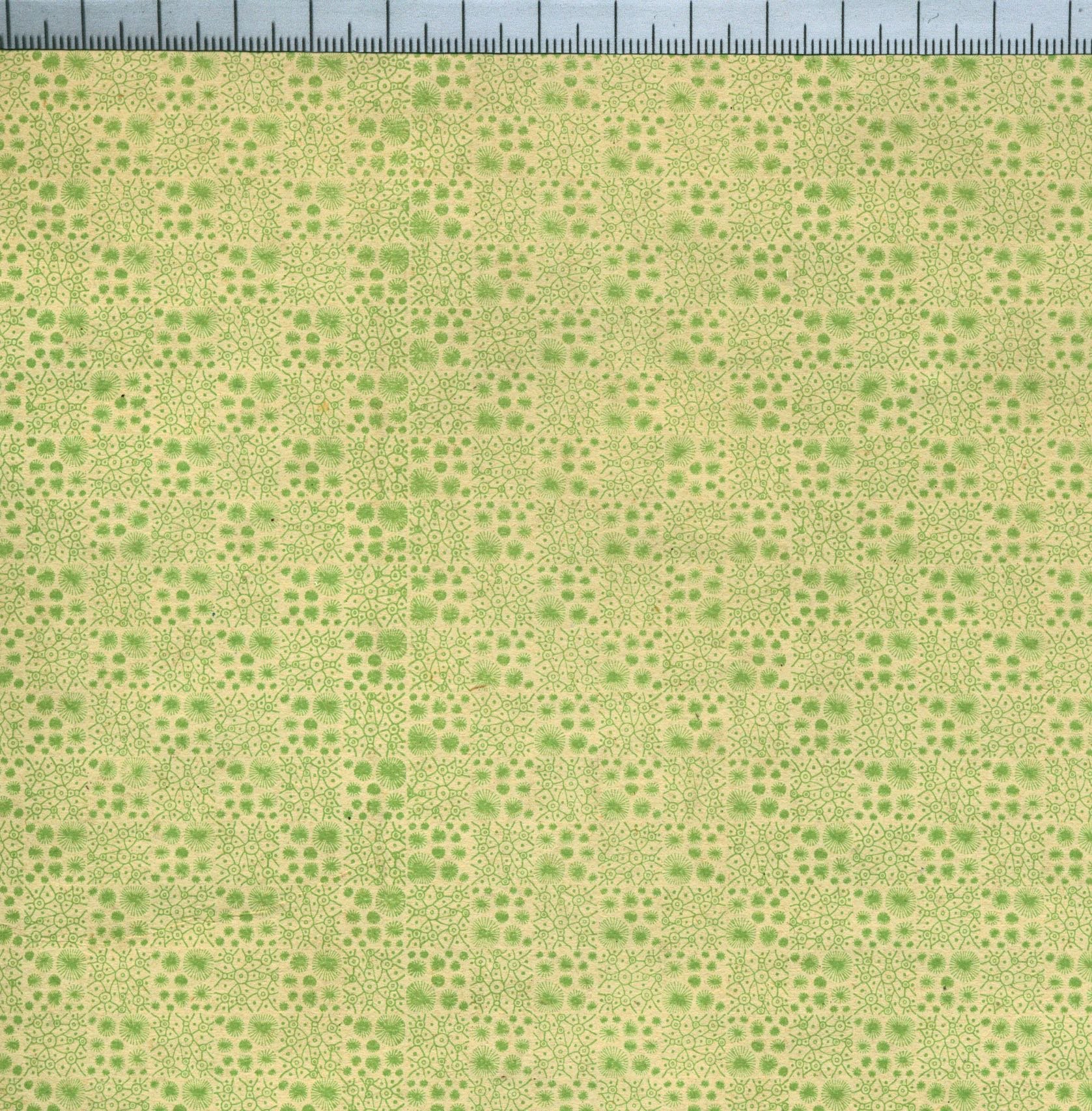 Typefounders' combination borders, (Allen Figure 74) green