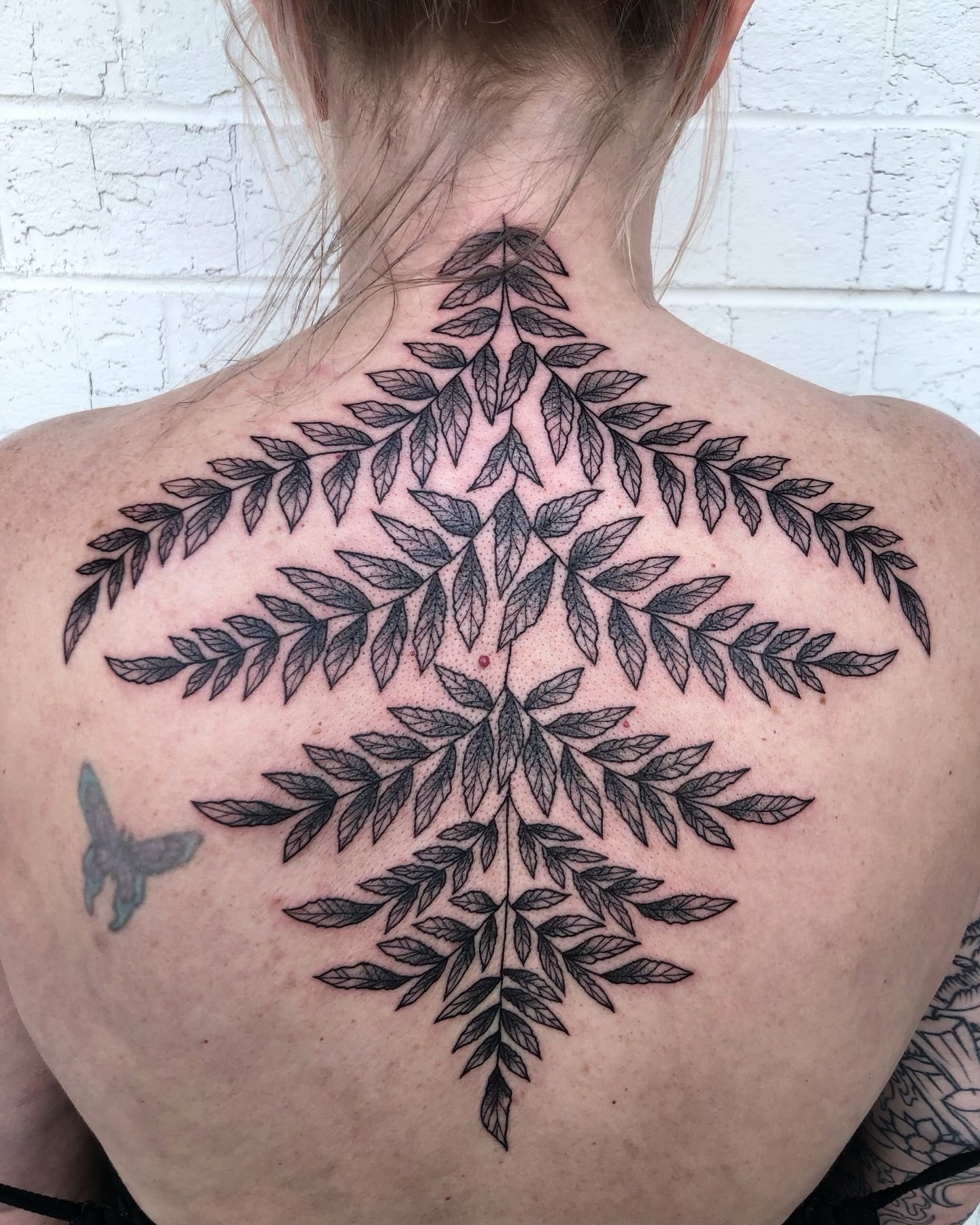 Thanks so much, Laura!

@aubryclaire

Aubry is in the shop Wednesday through Saturday each week. You can contact her directly via email at aubryclaire520@gmail.com. To schedule a consultation for a future date, visit our website.

Have questions? Tex