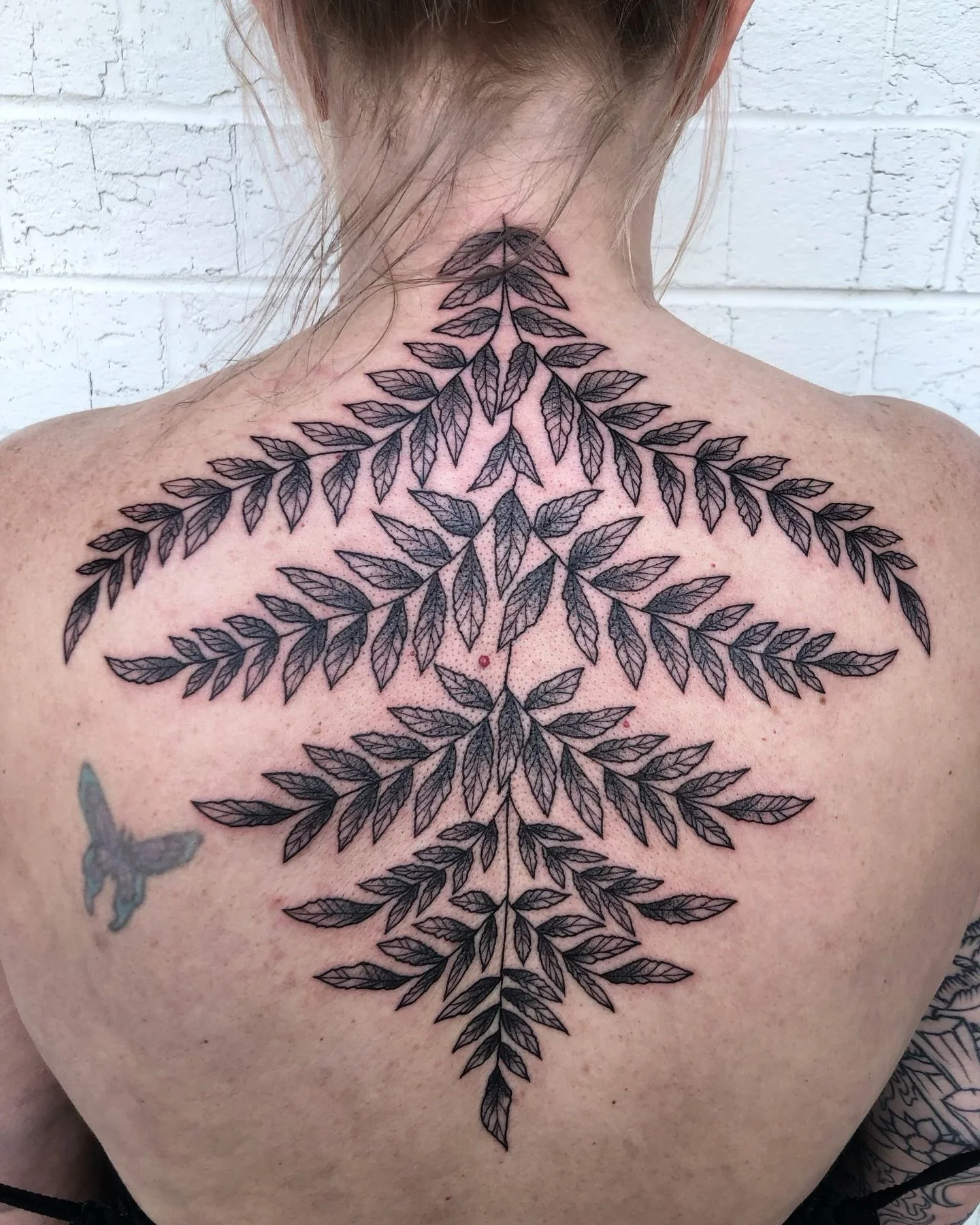 Thanks so much, Laura!

@aubryclaire

Aubry is in the shop Wednesday through Saturday each week. You can contact her directly via email at aubryclaire520@gmail.com. To schedule a consultation for a future date, visit our website.

Have questions? Tex