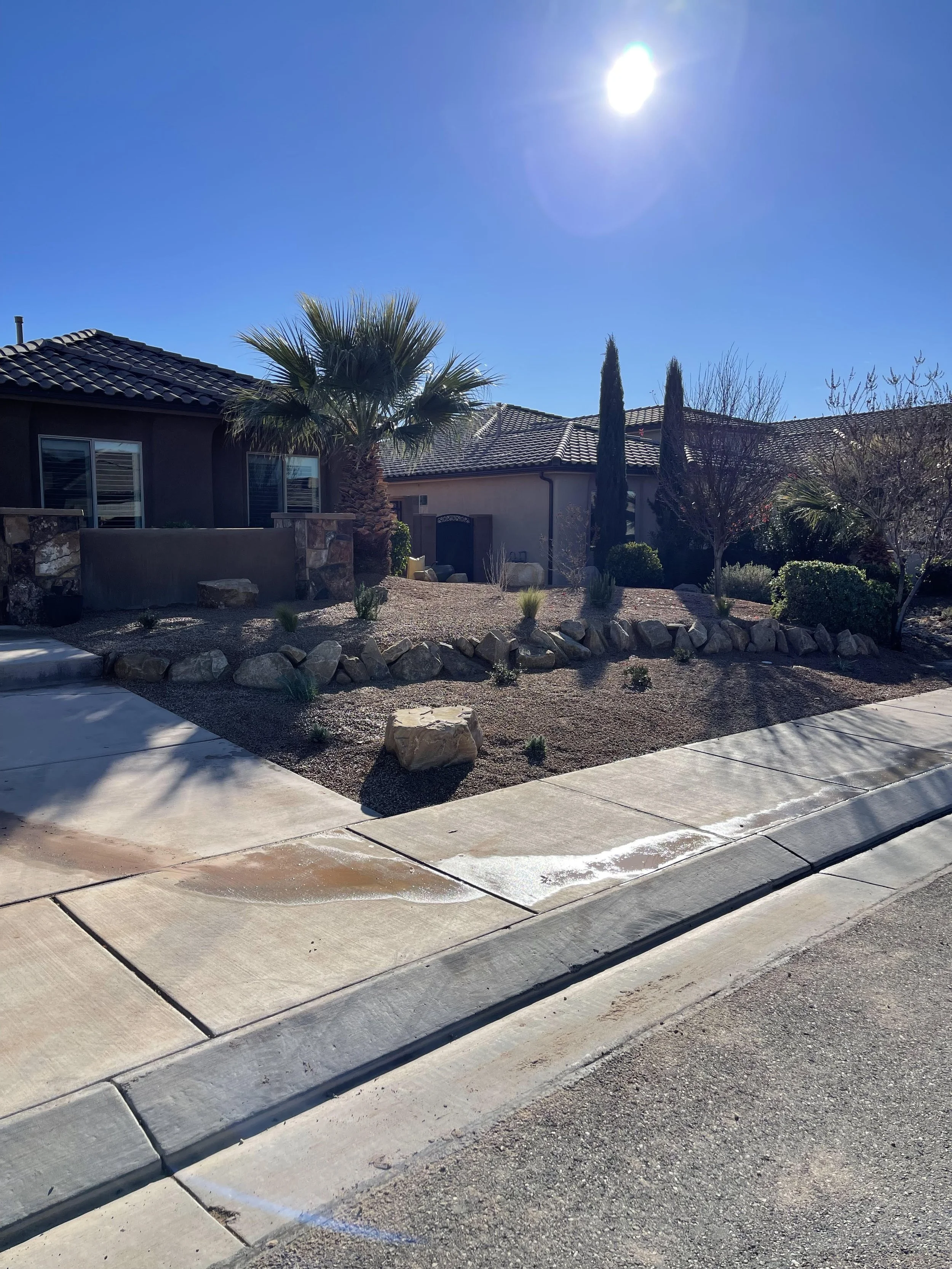 colleen front yard.jpg