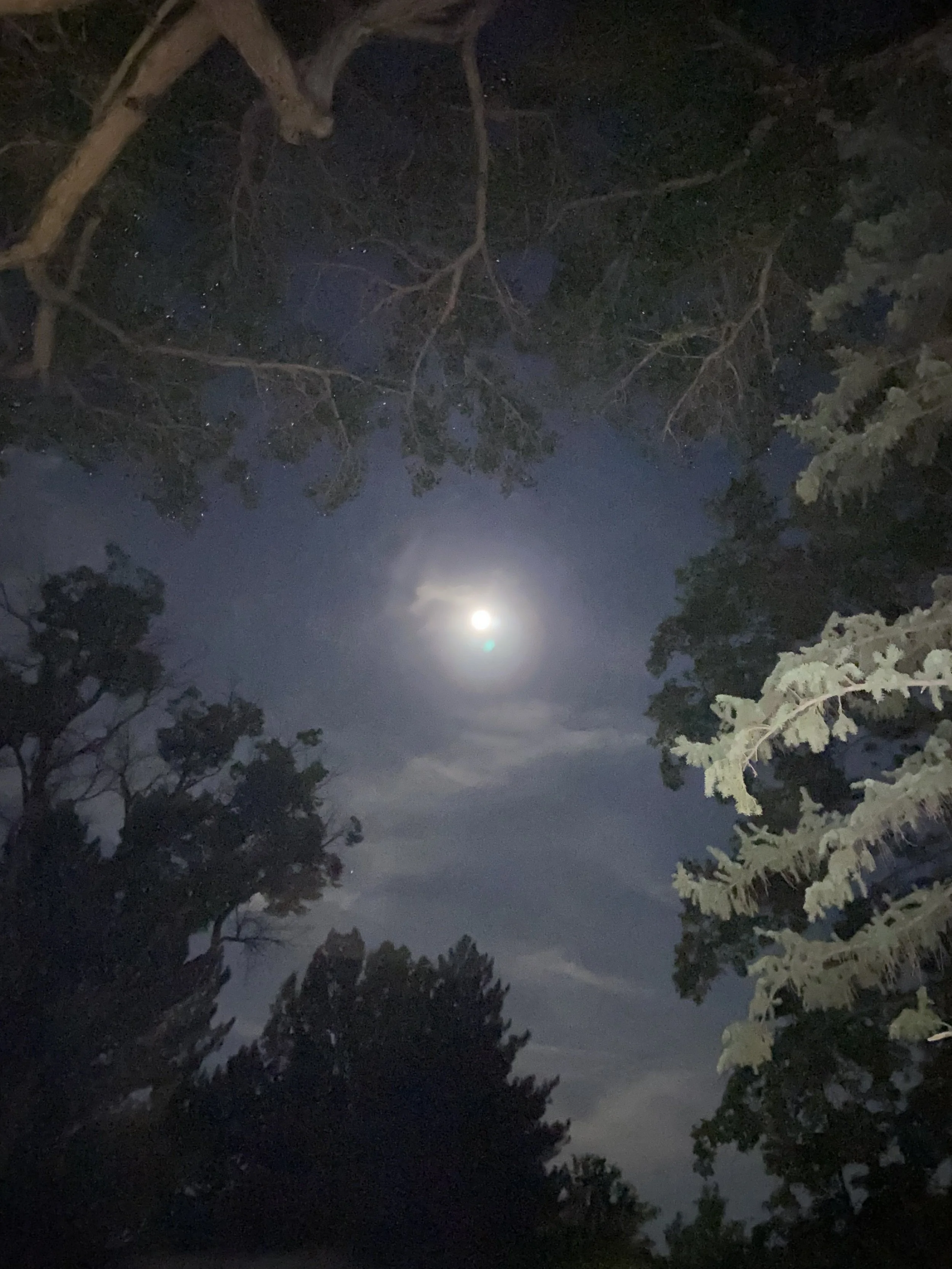 Night Fall