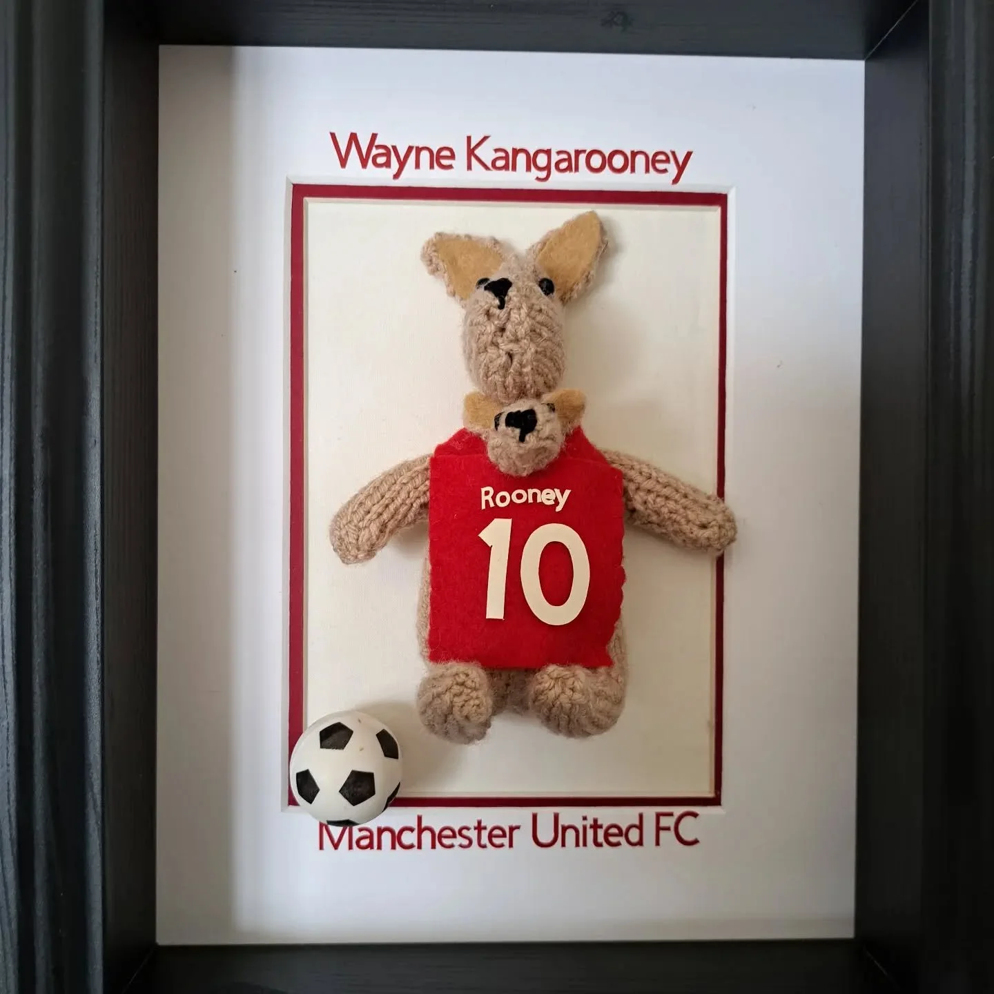 Our existing animal footballers of Moose Salah,  Sheep Shearer,  Erling Baaland, Harry Crane and Declan Mice are pleased to announce the arrival of Wayne Kangarooney who has just been inducted into their hall of fame. So for all of you red devil's or