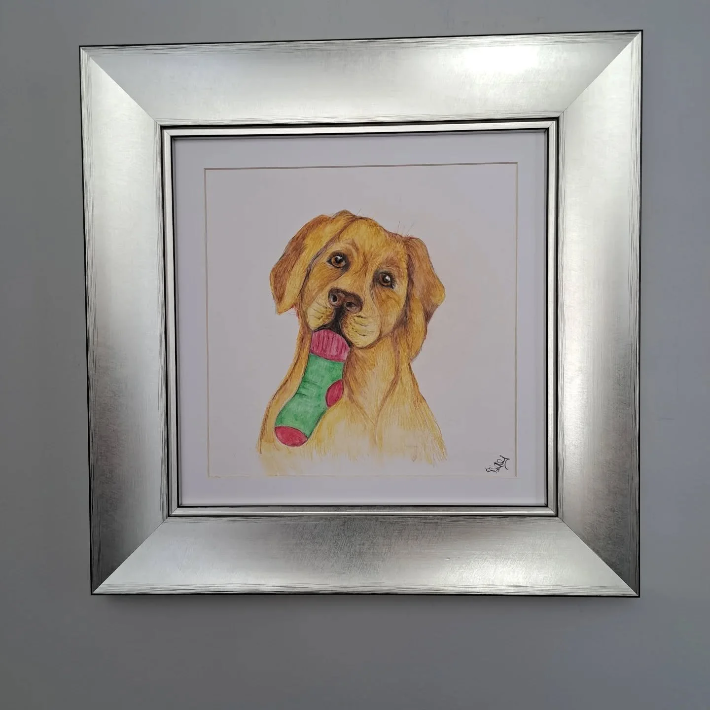 So apparently we now have the answer to the question of where the odd sock goes! He is the result of many hours sweating over a hot easel and comes beautifully framed in a bespoke frame. He will be making his first public appearance at the Waterside 