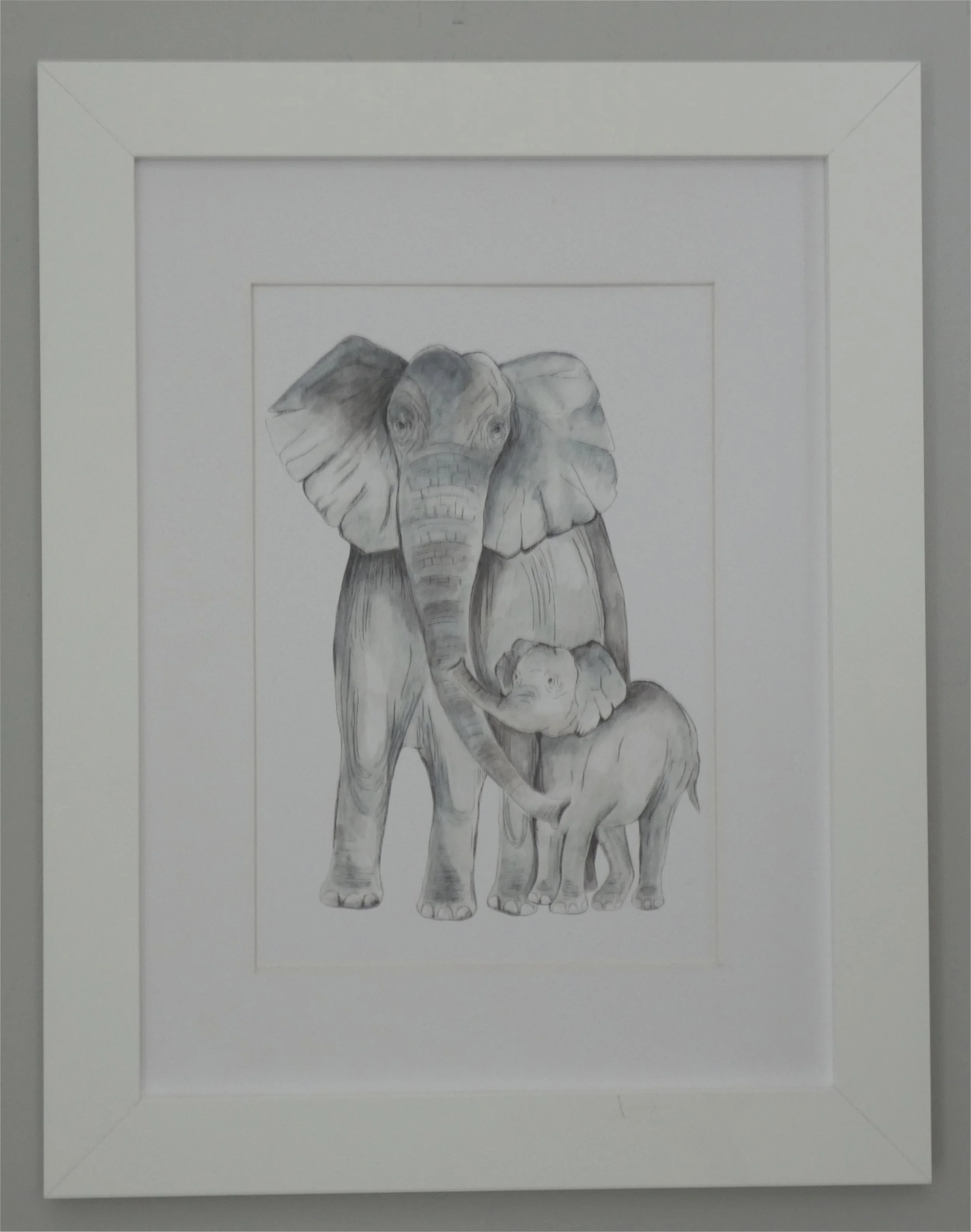 p - elephant white border, white frame.jpg