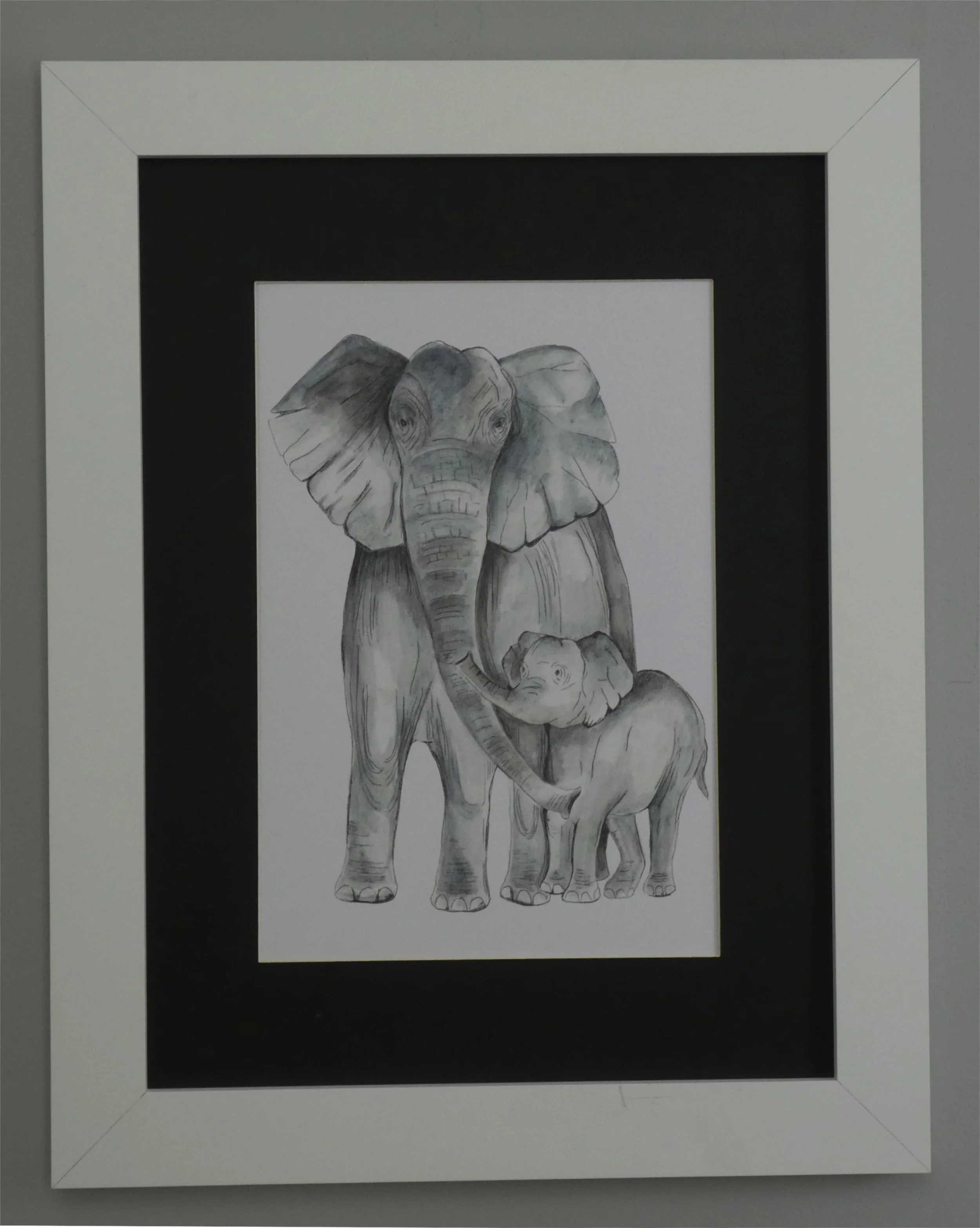 p - elephant black border wite frame.jpg
