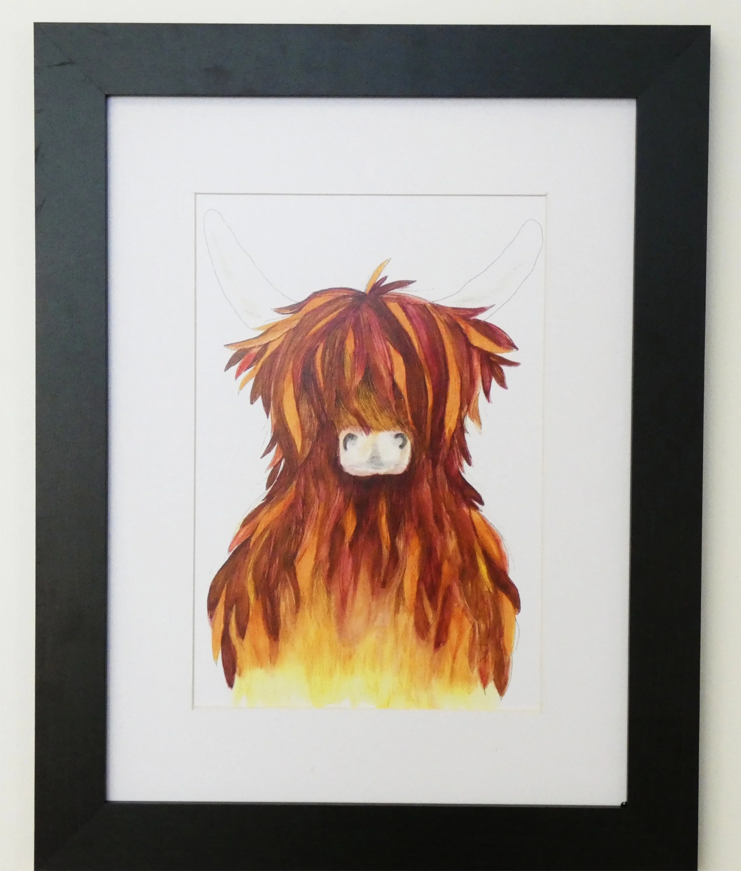 Jock - Framed