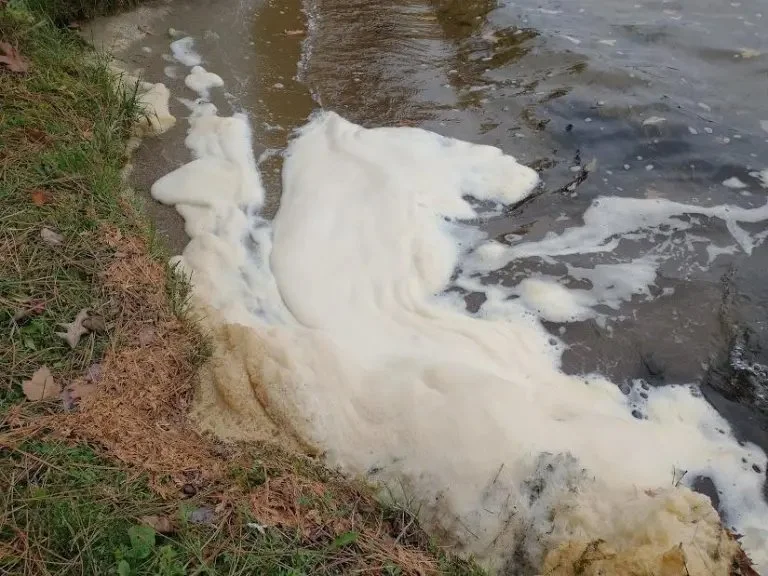 White foam accumulating at the edge of North Twin Lake, near rocks and grass.