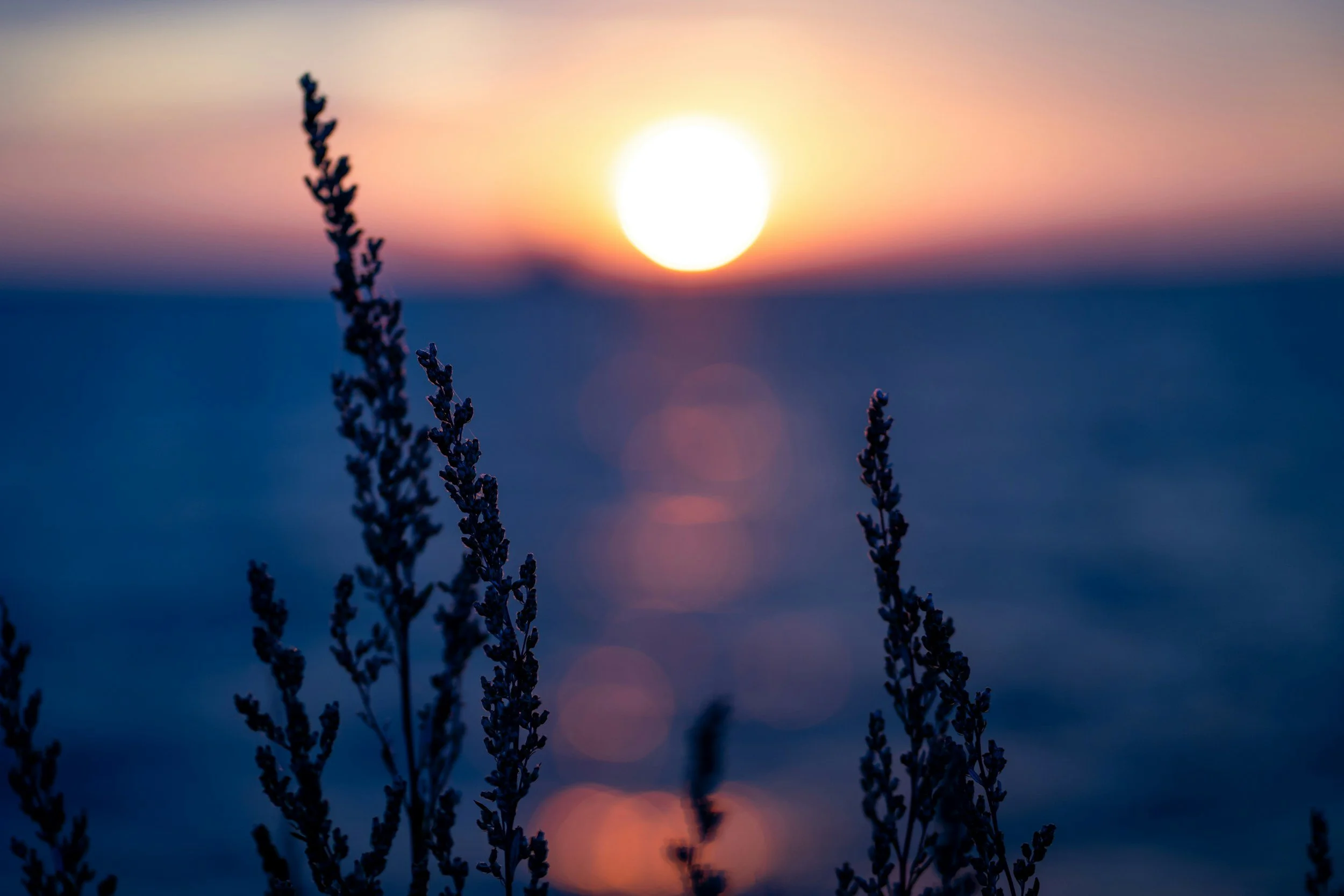 Lake-tides-newsletter-image