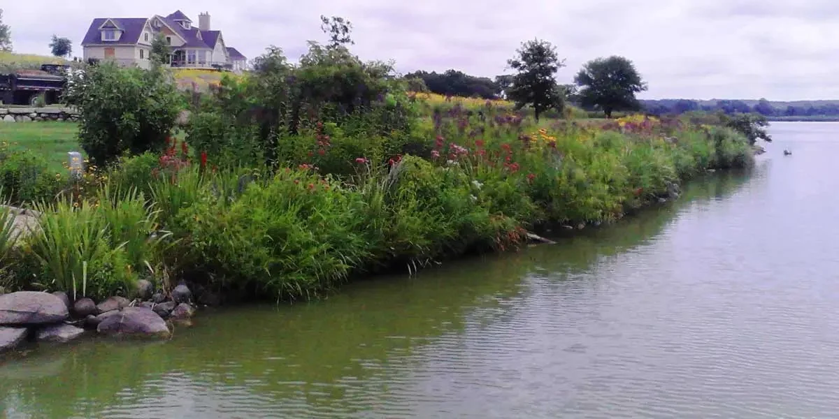 House near a lake with lush greenery and blooming wildflowers on the shore.