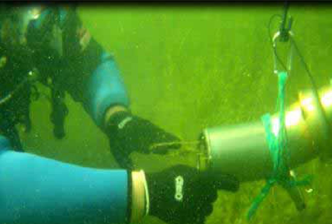 Diver working underwater on Eurasian Water Milfoil cleanup, wearing a blue wetsuit and black gloves.