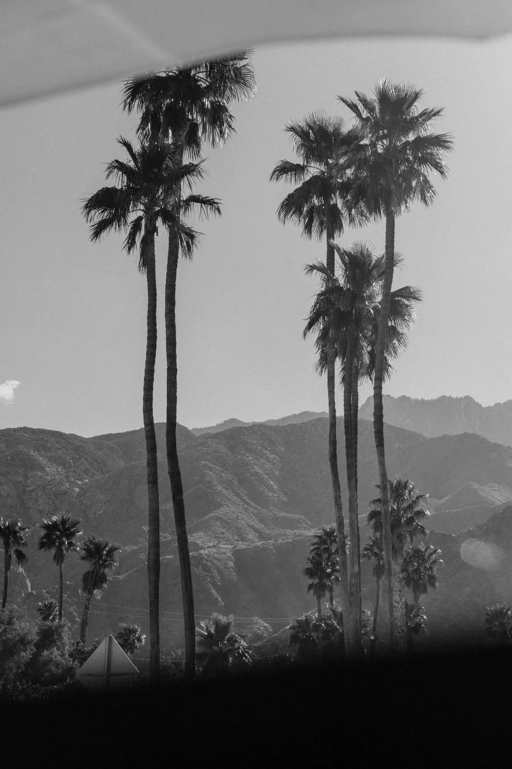 Palm Springs - Coming Soon