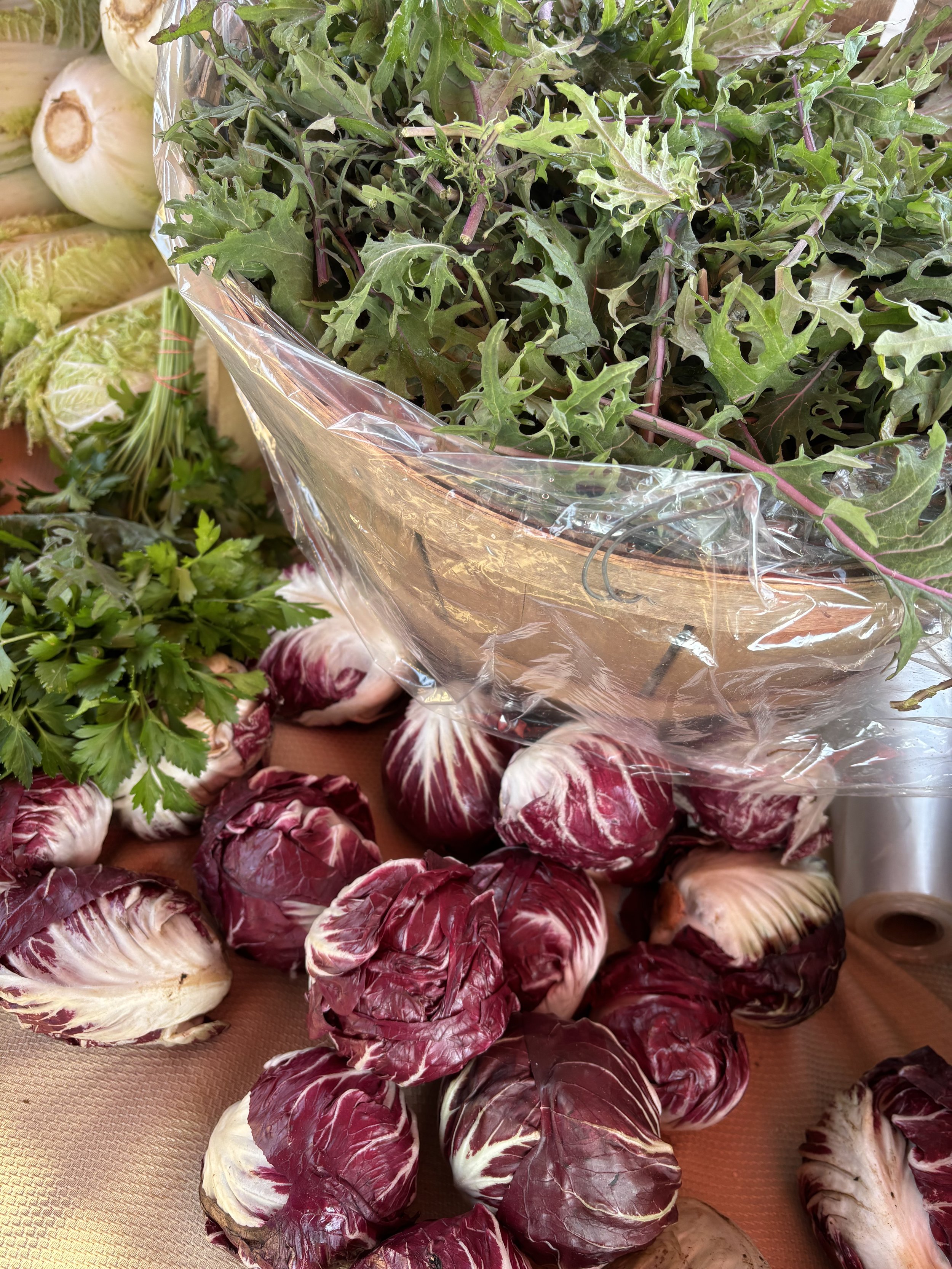 3. red cabbages and baby kale.jpeg