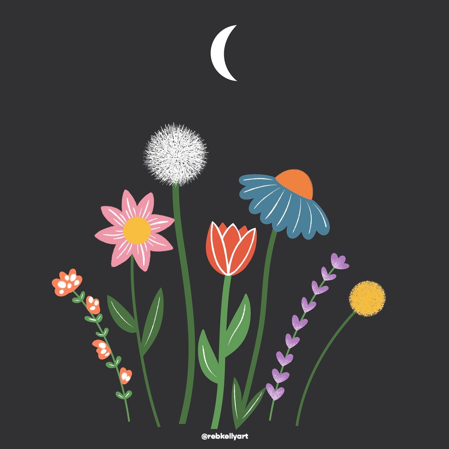 Hello, May! 🌼

In many ways, I feel like Spring is nature&rsquo;s study in contrast. The days are getting longer and the nights are getting shorter, but we are still very much in the thick of the seasonal transition, with lots of back and forth with