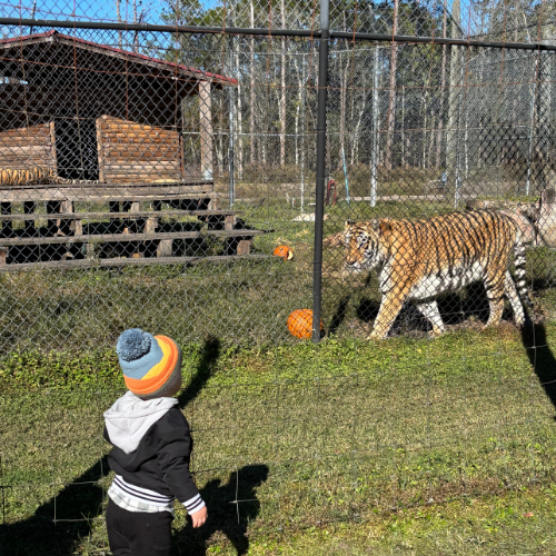A Family Adventure at Catty Shack Ranch Wildlife Sanctuary