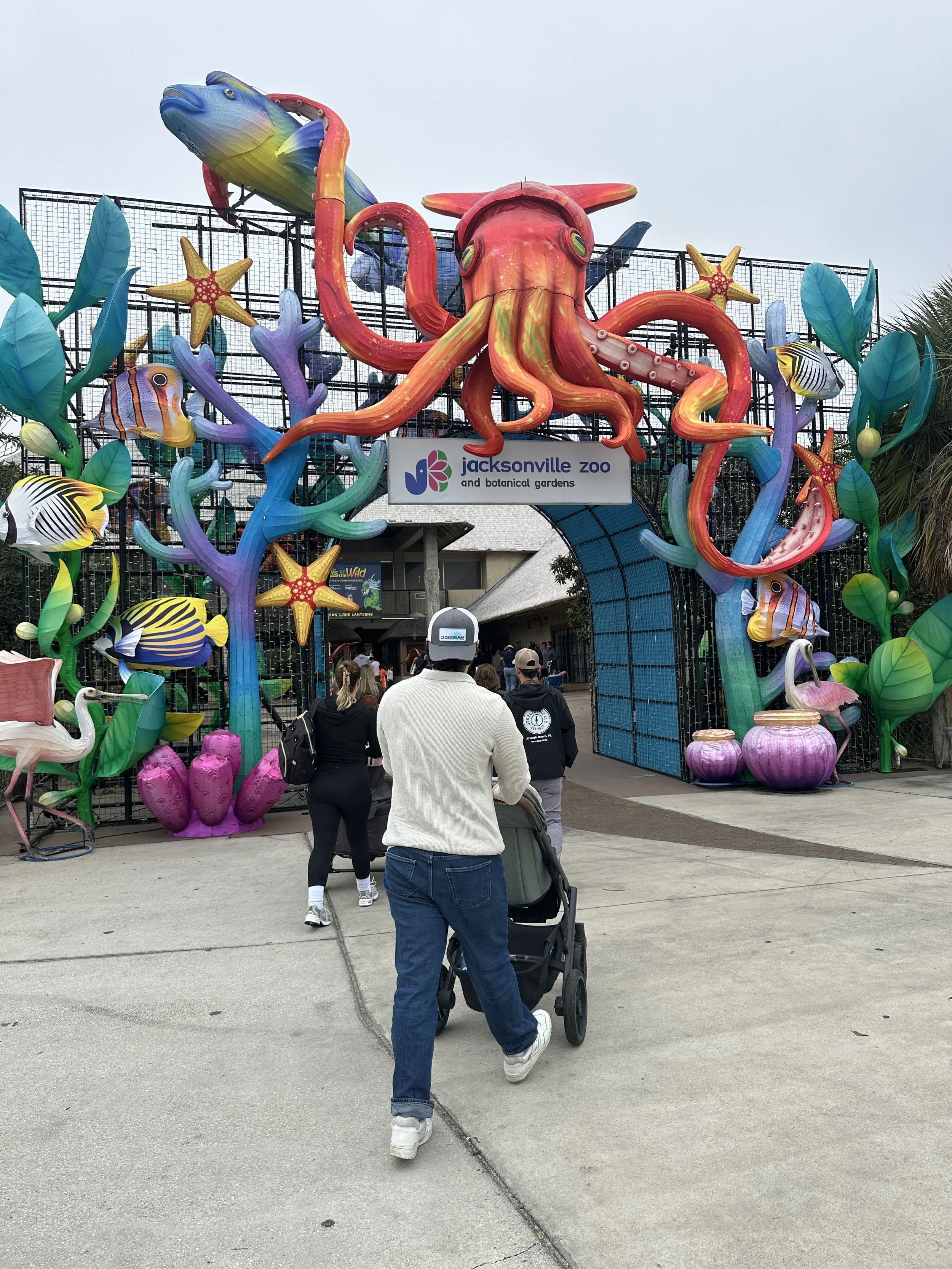 Worth Every Penny: Why We Joined the Jacksonville Zoo