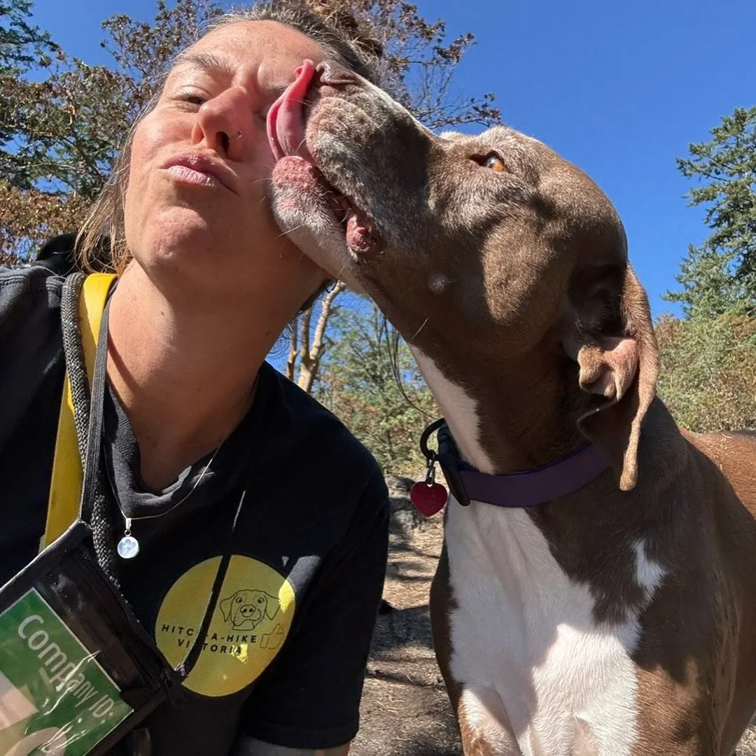 Weekly roundup time! Here&rsquo;s some of our favourite pics as of recent - starting with lots of wet kisses and fantastics views! Love it when the pups are willing to smile for their picture 😍 (Bodhi said no haha)