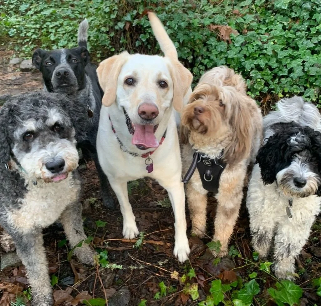 Another weekly roundup in the books 📚

Watching these guys play and enjoy themselves no matter the weather or circumstances is always inspiring! Don&rsquo;t have to tell any of them to go have fun twice, that&rsquo;s for sure. 

It&rsquo;s supposed 