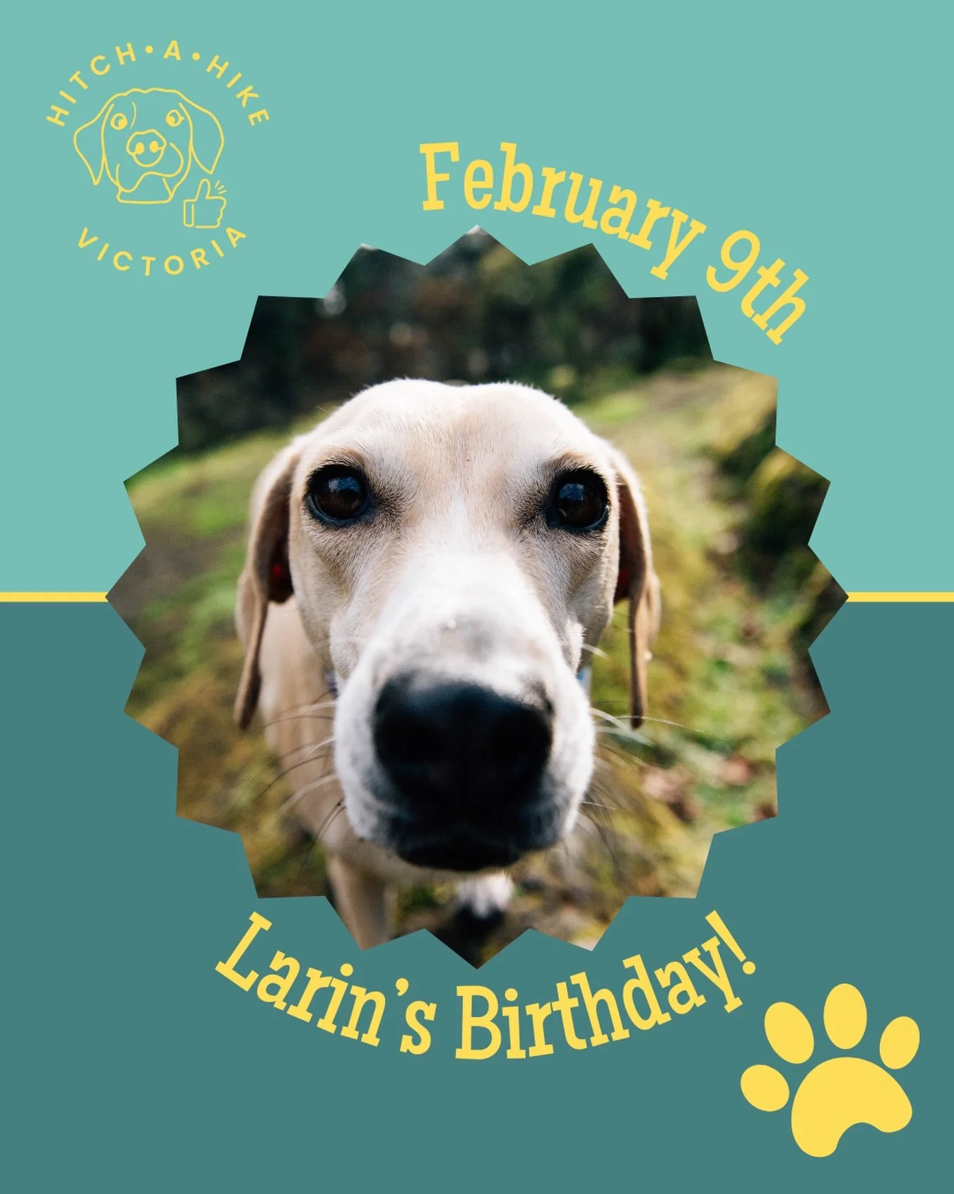🎉Happy birthday to Larin! 

She&rsquo;s the sweetest bean who likes to do her own thing and we&rsquo;re delighted to have her in our pack ❤️ send her a little happy birthday in the comments! 

Want your pup to have a birthday shoutout? Update their 