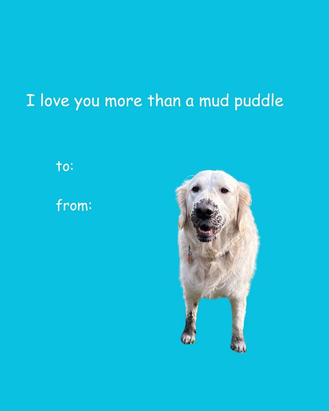 Just in time for Valentine&rsquo;s Day, from our pack to you (or your crush 😘) 

Have a pawsitively perfect long weekend! ❤️