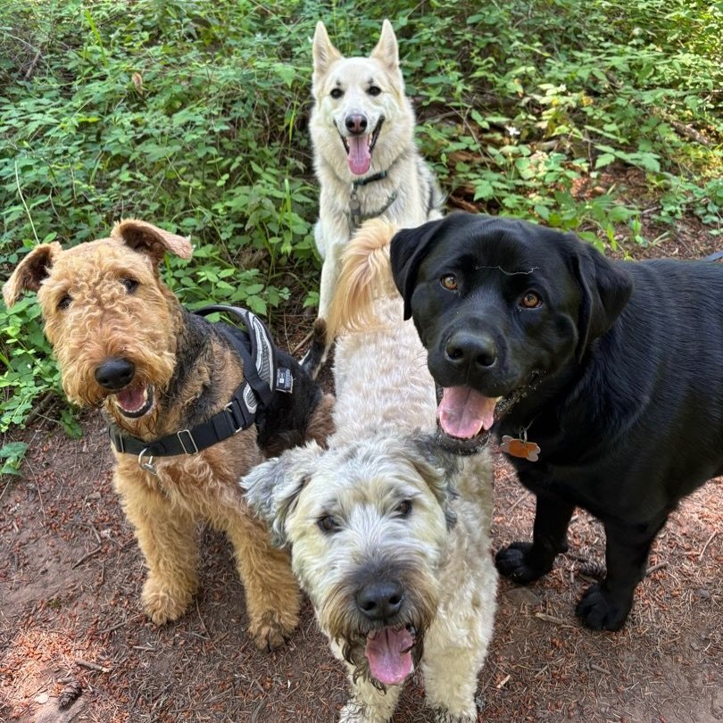 When the whole crew is looking fresh 👌🏼🐶

Have a great weekend!