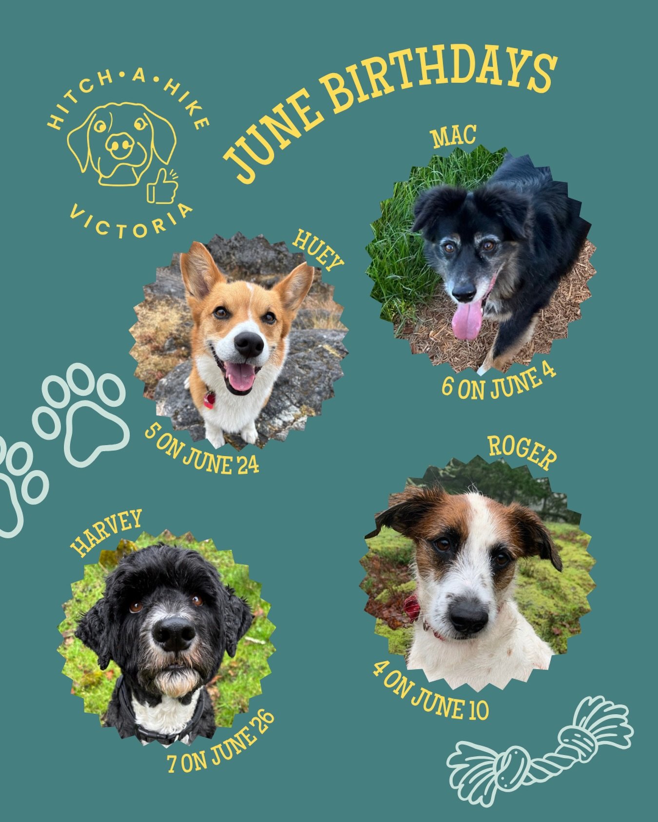 Happy June to everyone but especially to our special June babies! 

We might not get to party with all these pups this year but we still wanted to make sure everyone got a birthday shoutout! 🥳🦴
