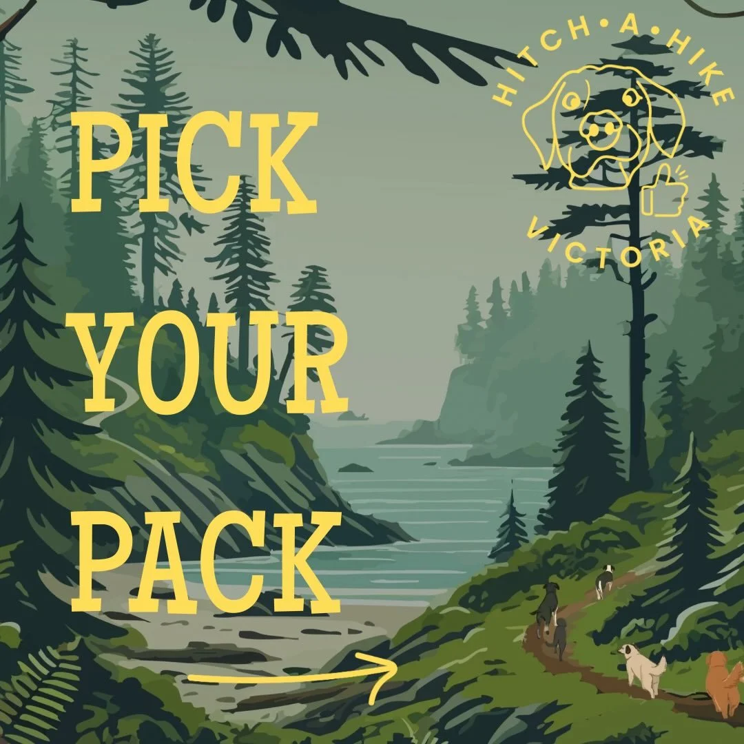 PICK YOUR PACK 🐶

Swipe through to get an idea of what kind of walk would be best for your pet! We offer group walks, private walks, and weekend/holiday walks. 

Want to book a meet and greet? Head to the link in our bio! ⬆️