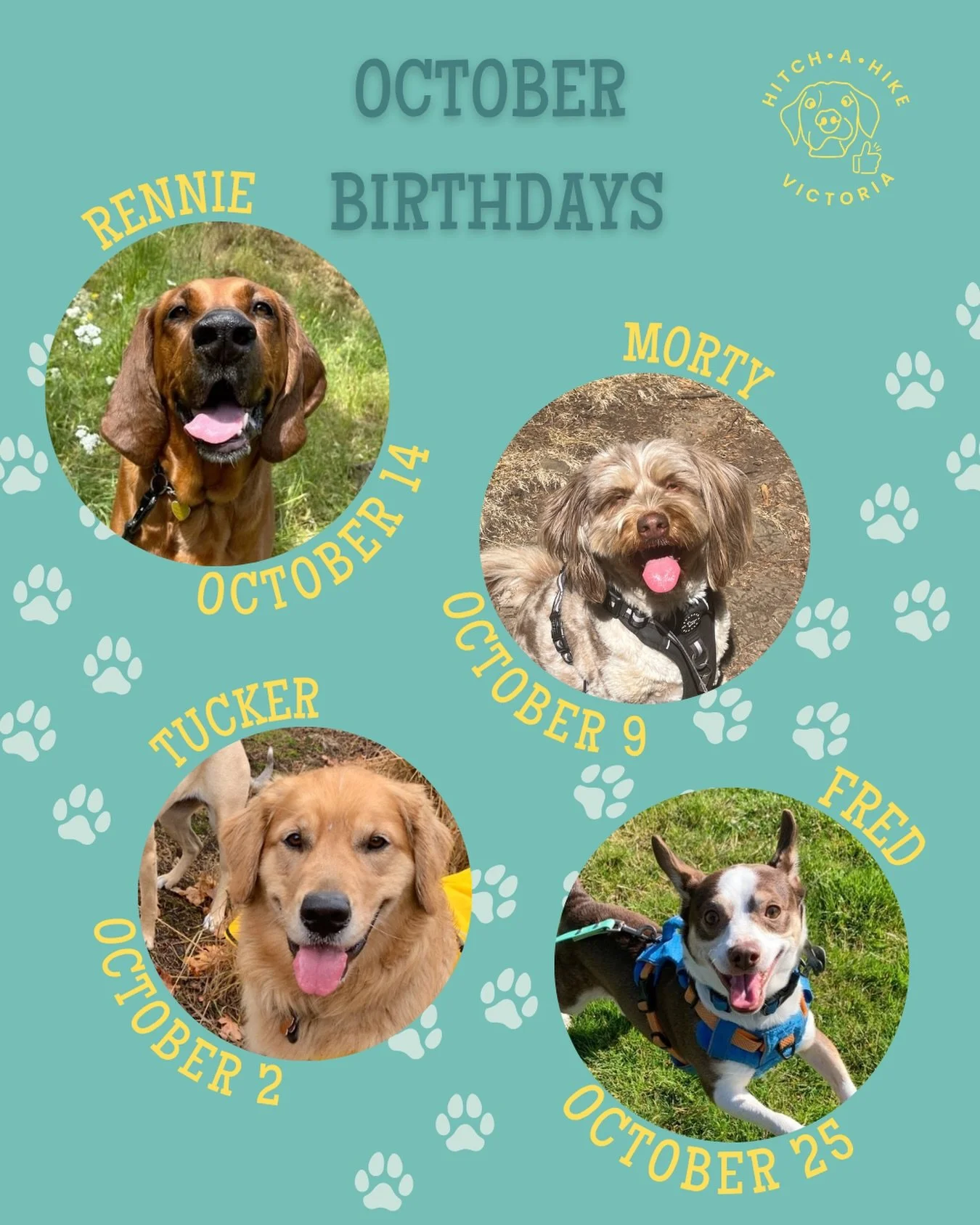 👻OCTOBER BIRTHDAYS🎃

Shoutout to our pups who are celebrating their birthday this month! 

It&rsquo;s a pleasure to have you all on our pack 🦴