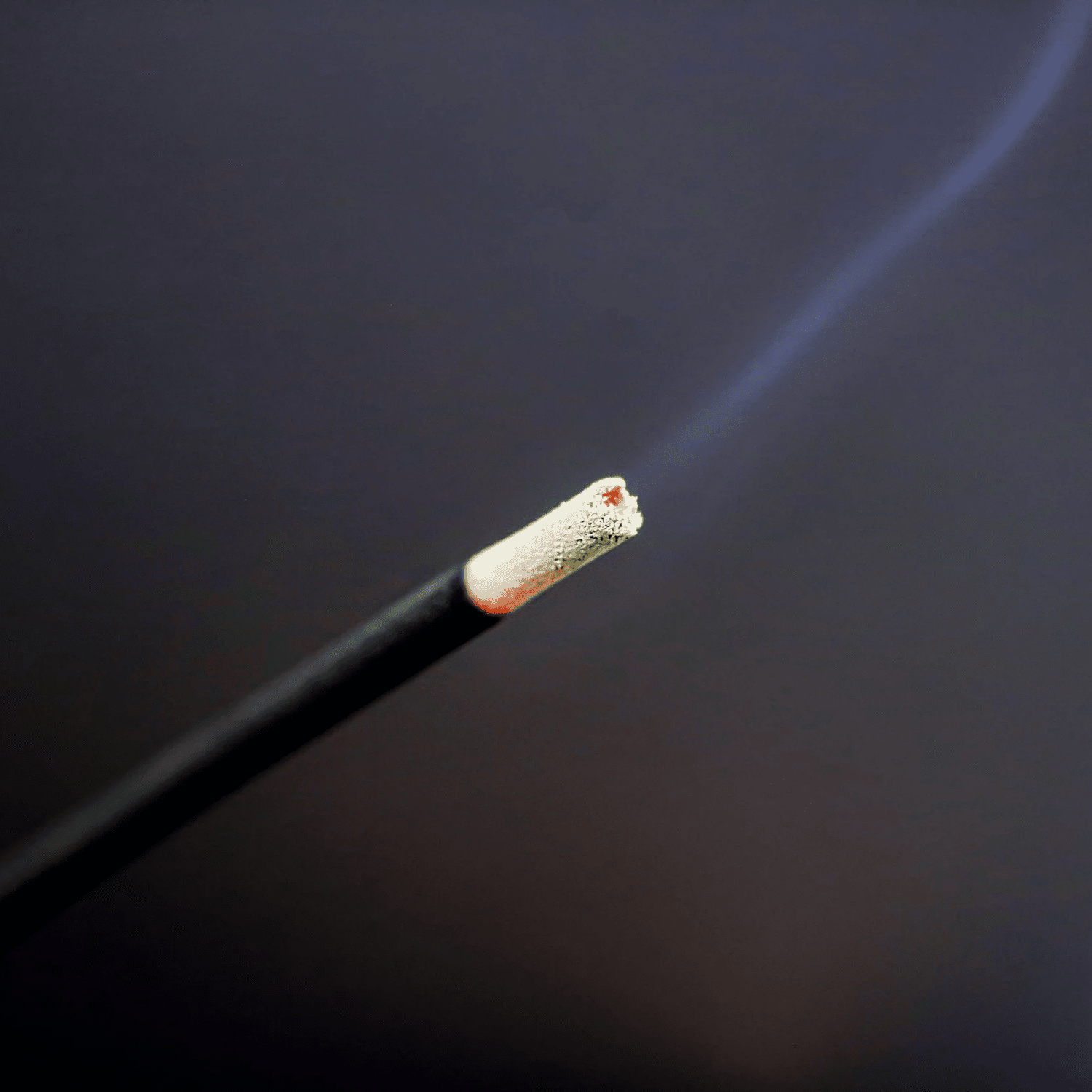 tiger woods cigarette caddy Tiger Woods' Caddy Uses Cigarette Smoke to Read Wind at Masters