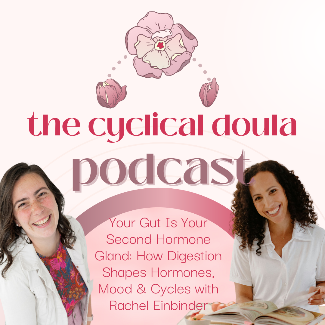 23. Your Gut Is Your Second Hormone Gland: How Digestion Shapes Hormones, Mood &amp; Cycles with Rachel Einbinder