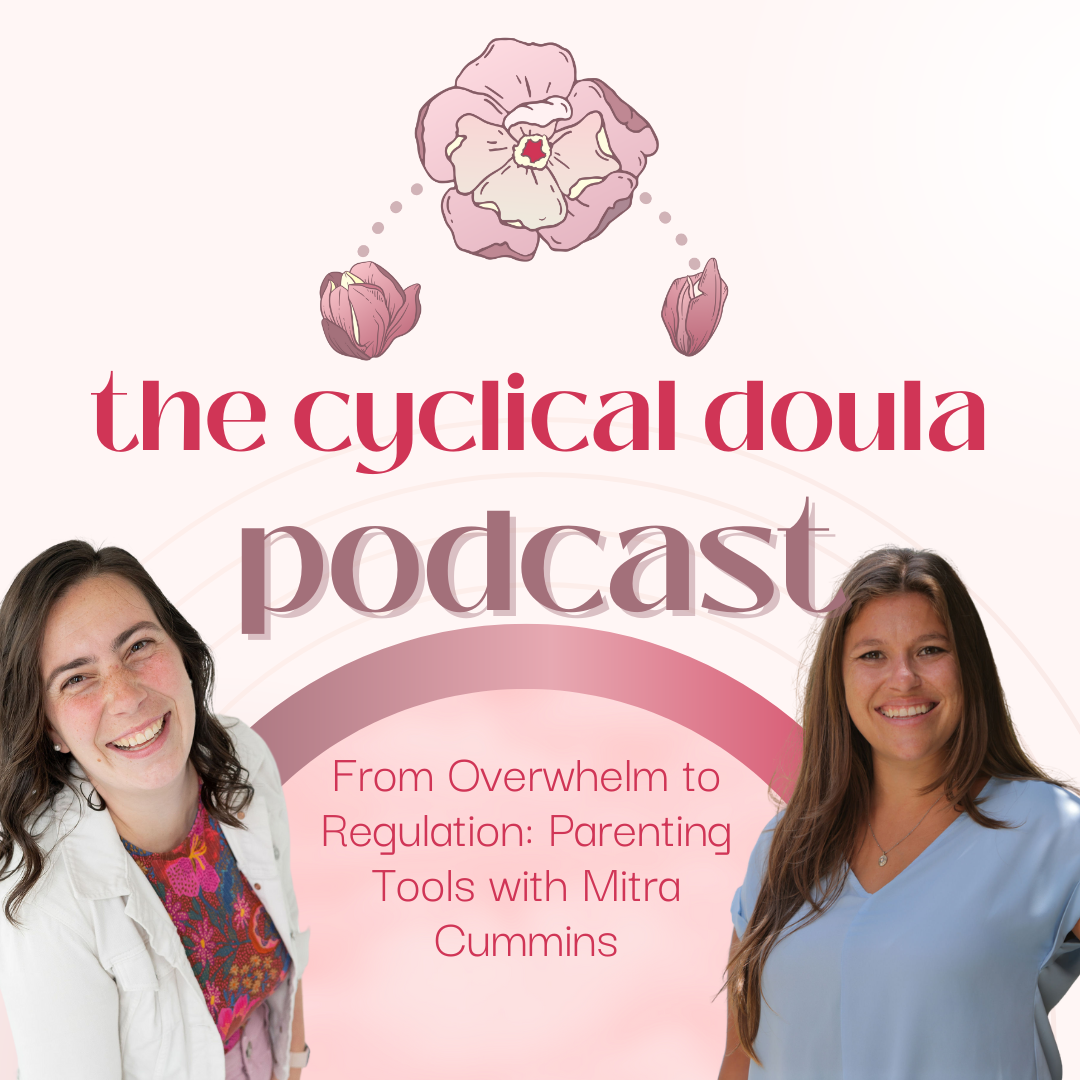 27. From Overwhelm to Regulation: Parenting Tools with Mitra Cummins