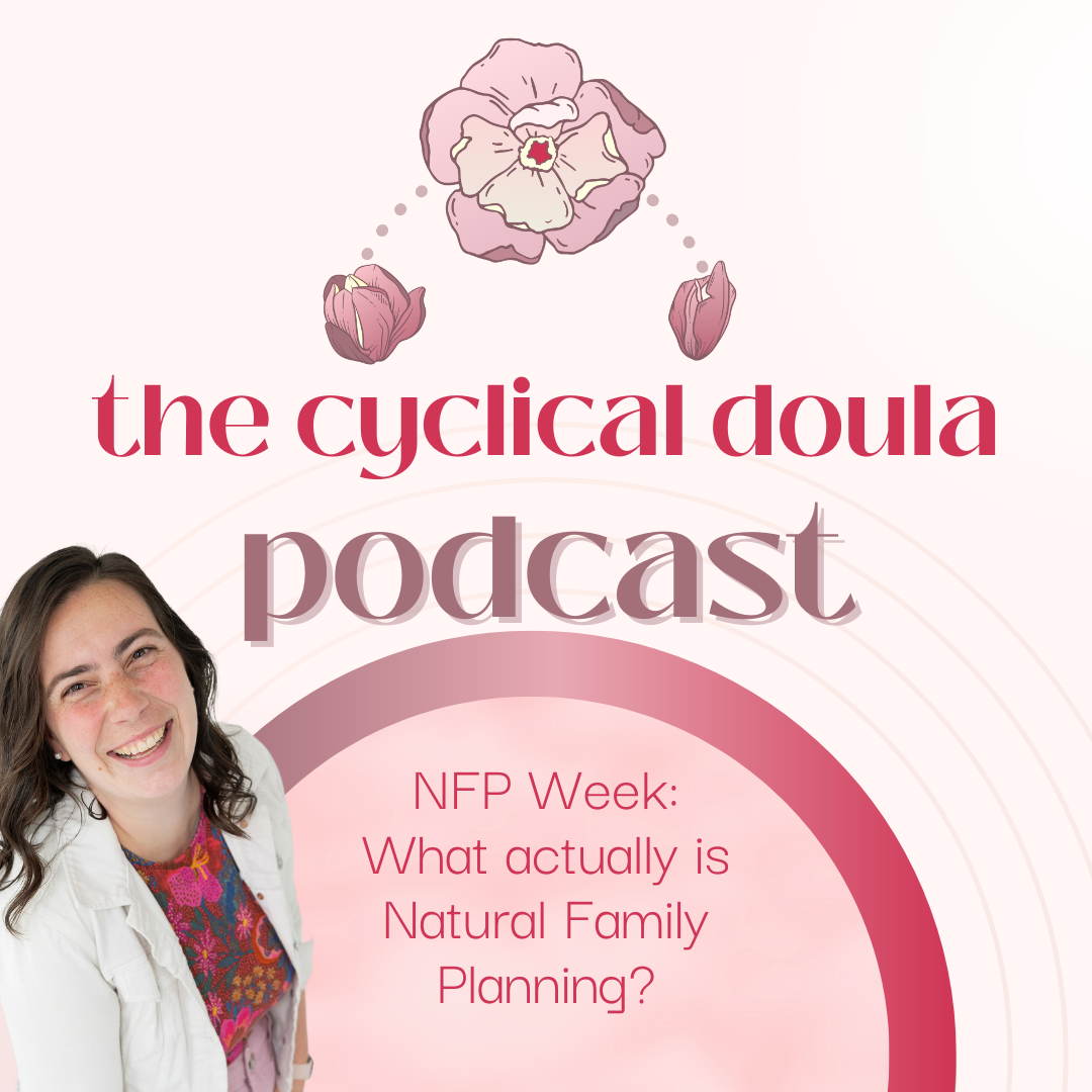 48. NFP Week: What Actually is Natural Family Planning? 