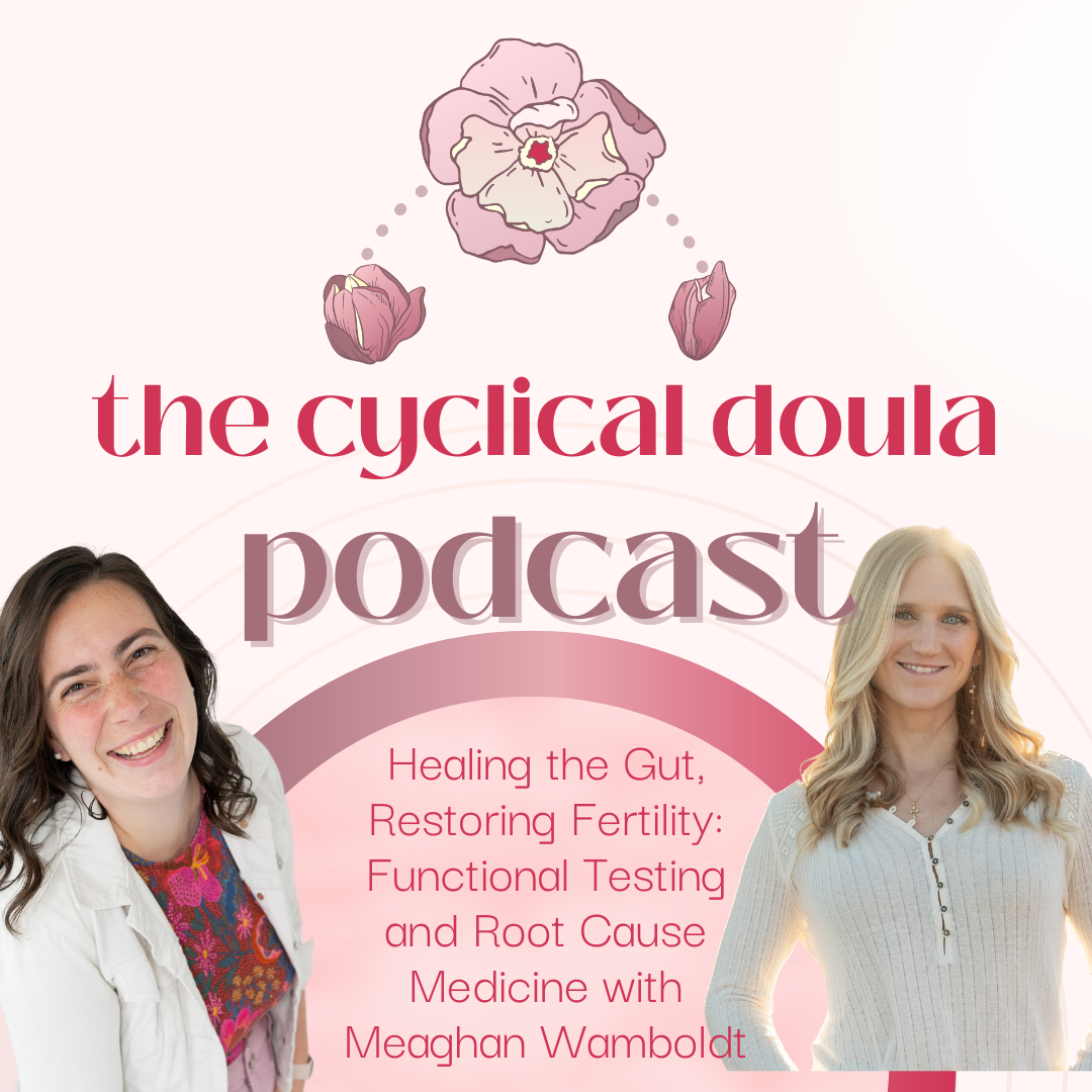 52. Healing the Gut, Restoring Fertility: Functional Testing and Root Cause Medicine with Meaghan Wamboldt
