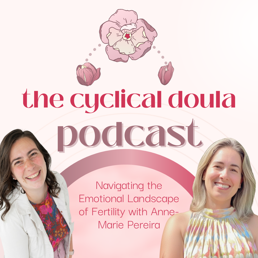 58. Navigating the Emotional Landscape of Fertility with Anne-Marie Pereira