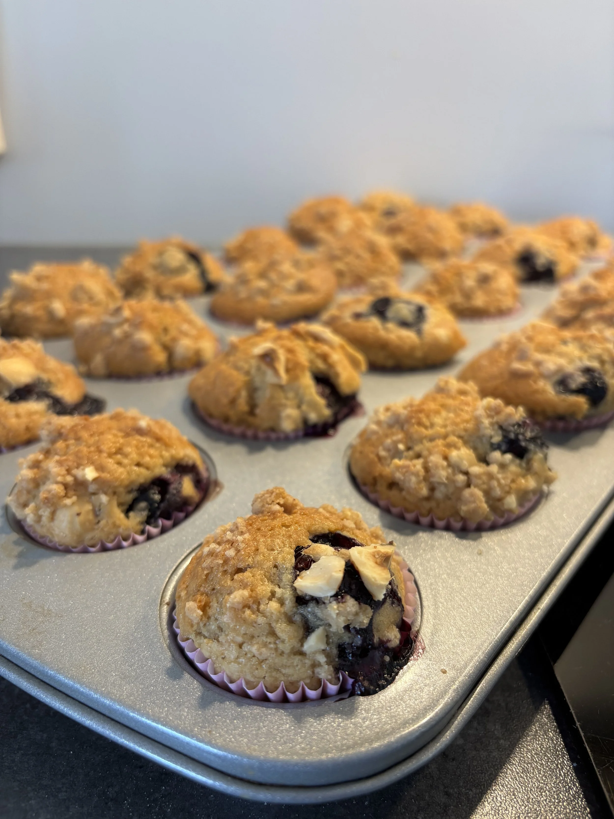 vegan blauwebessen muffin