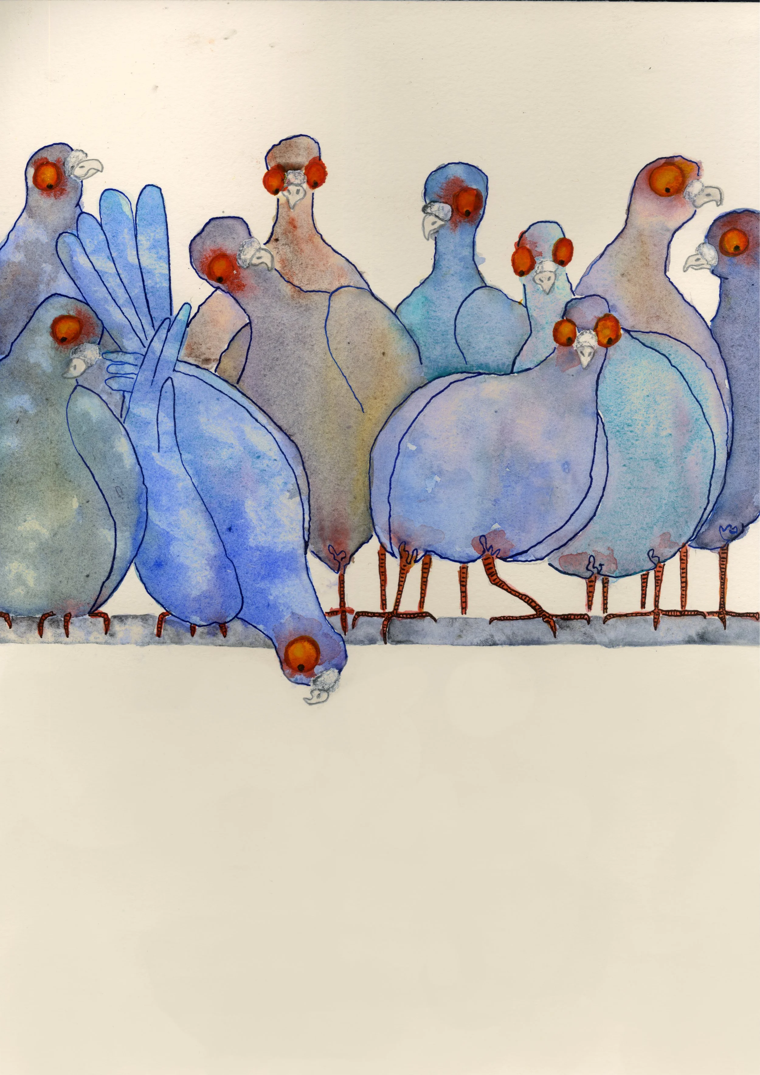 12, Maeve Silvia Nolan.jpg