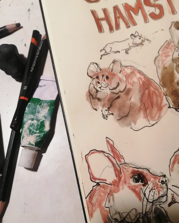 Screenshot 2026-01-11 at 16.37.24.png